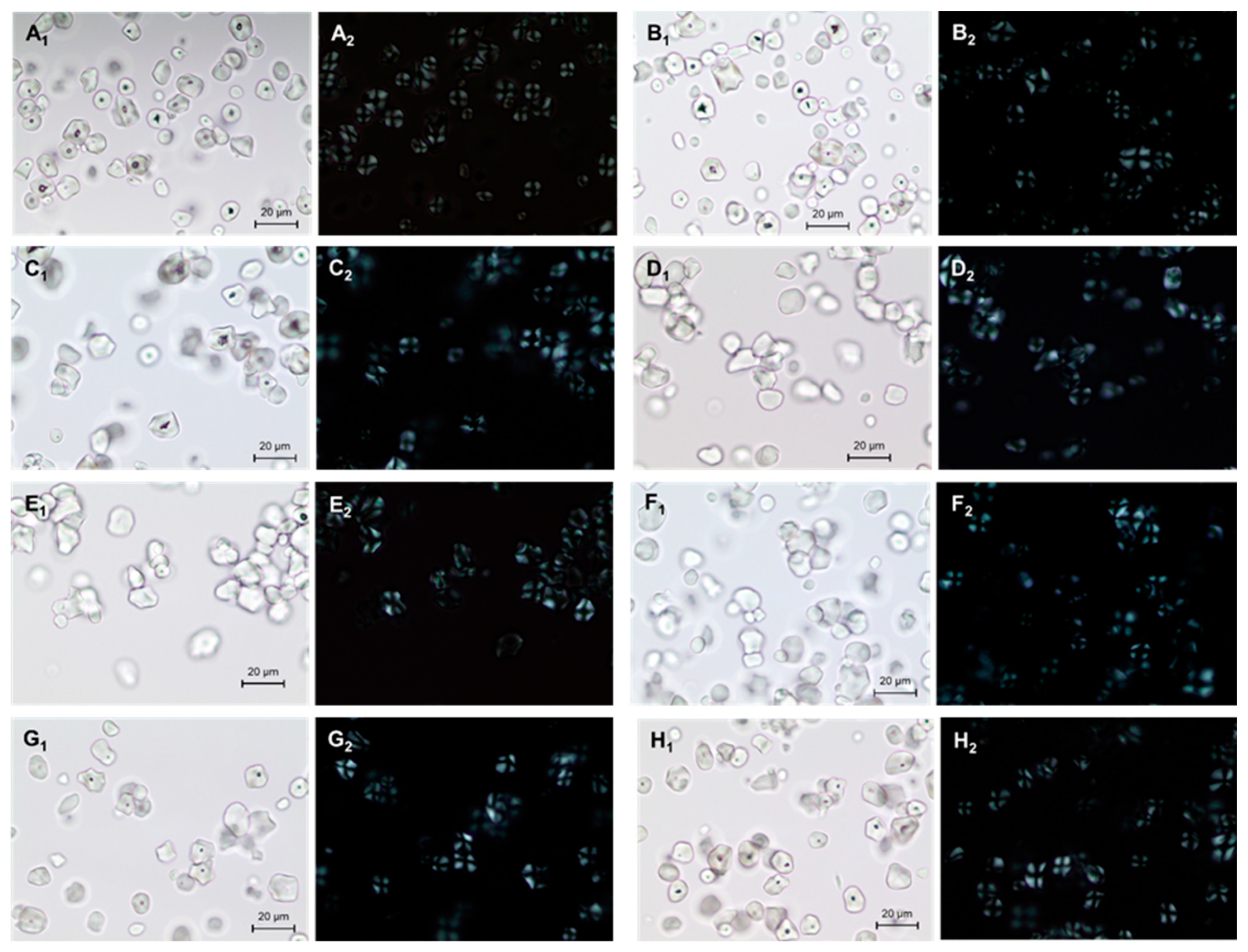 Molecules 24 01900 g001 Molecules 24 01900 g001