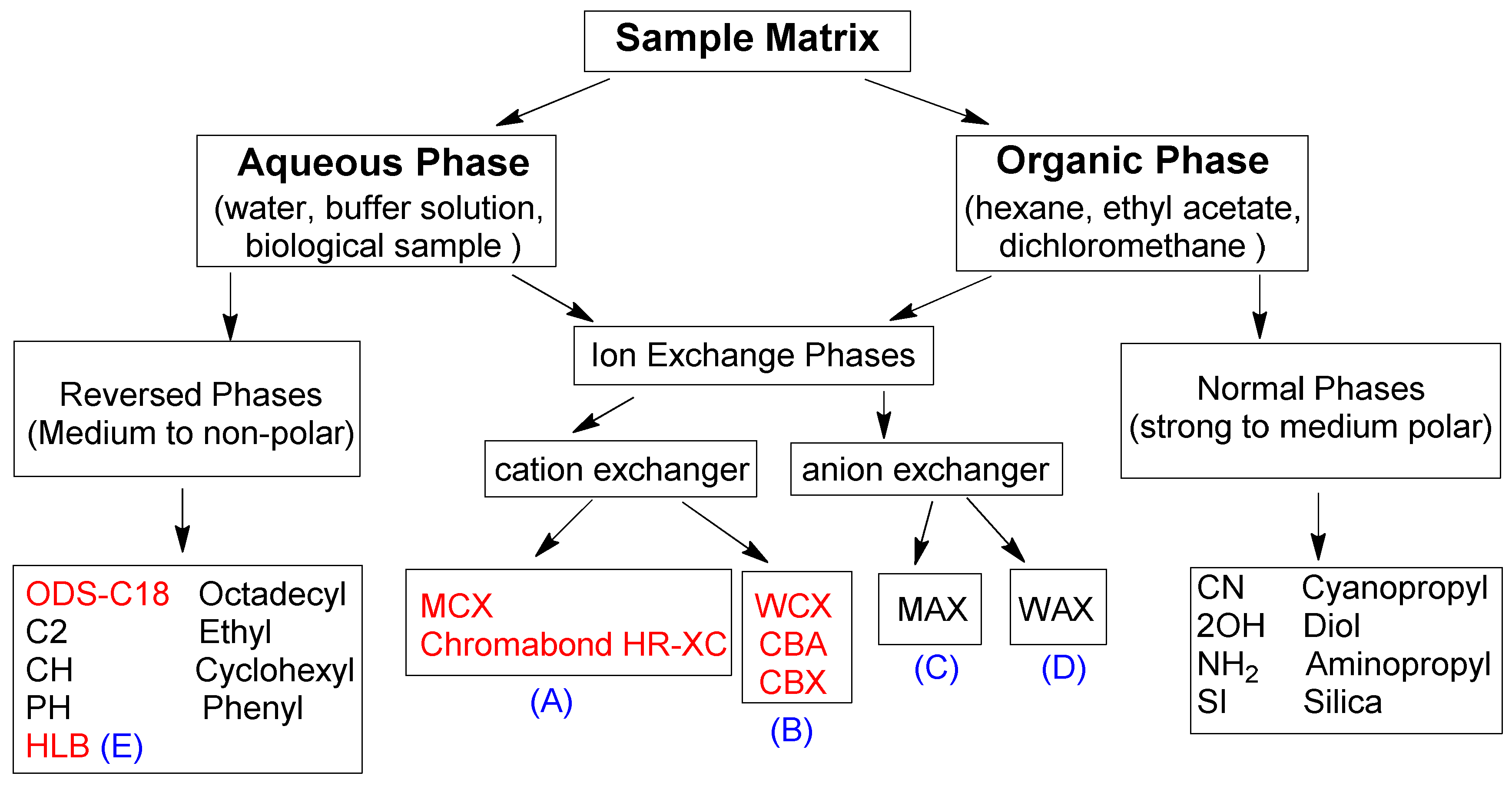 Molecules 24 01902 g002