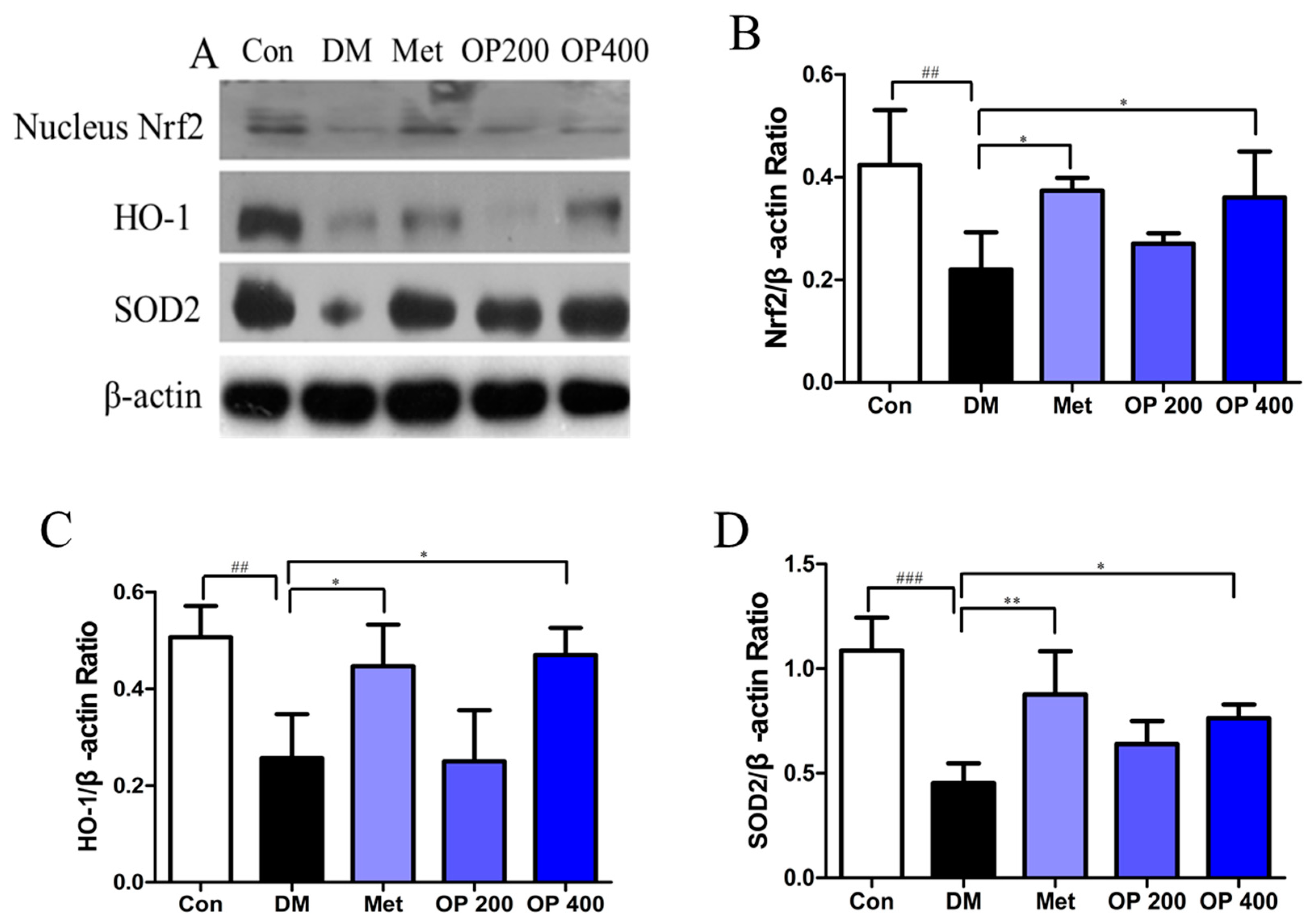 Molecules 24 01906 g008 Molecules 24 01906 g008