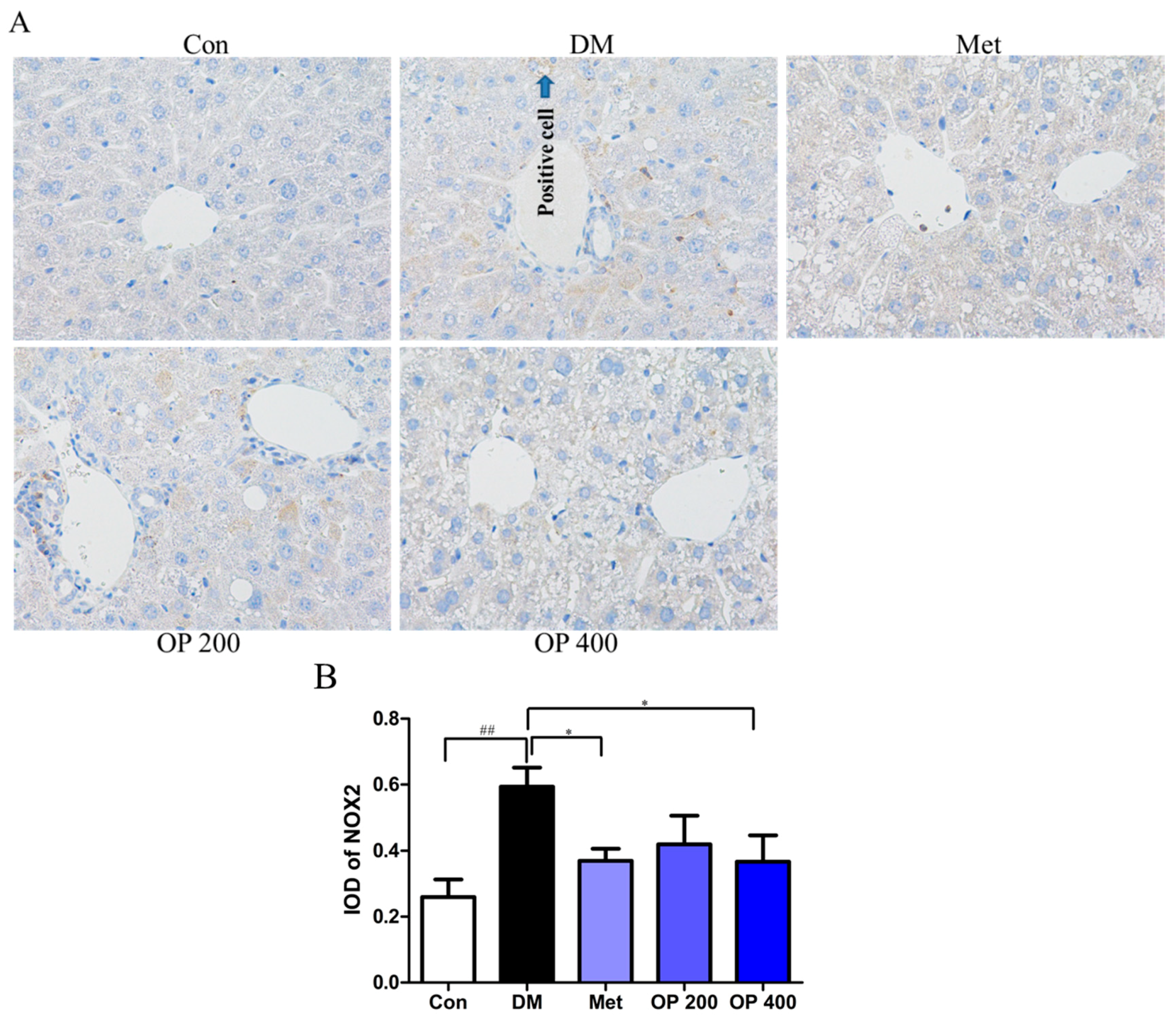 Molecules 24 01906 g009 Molecules 24 01906 g009