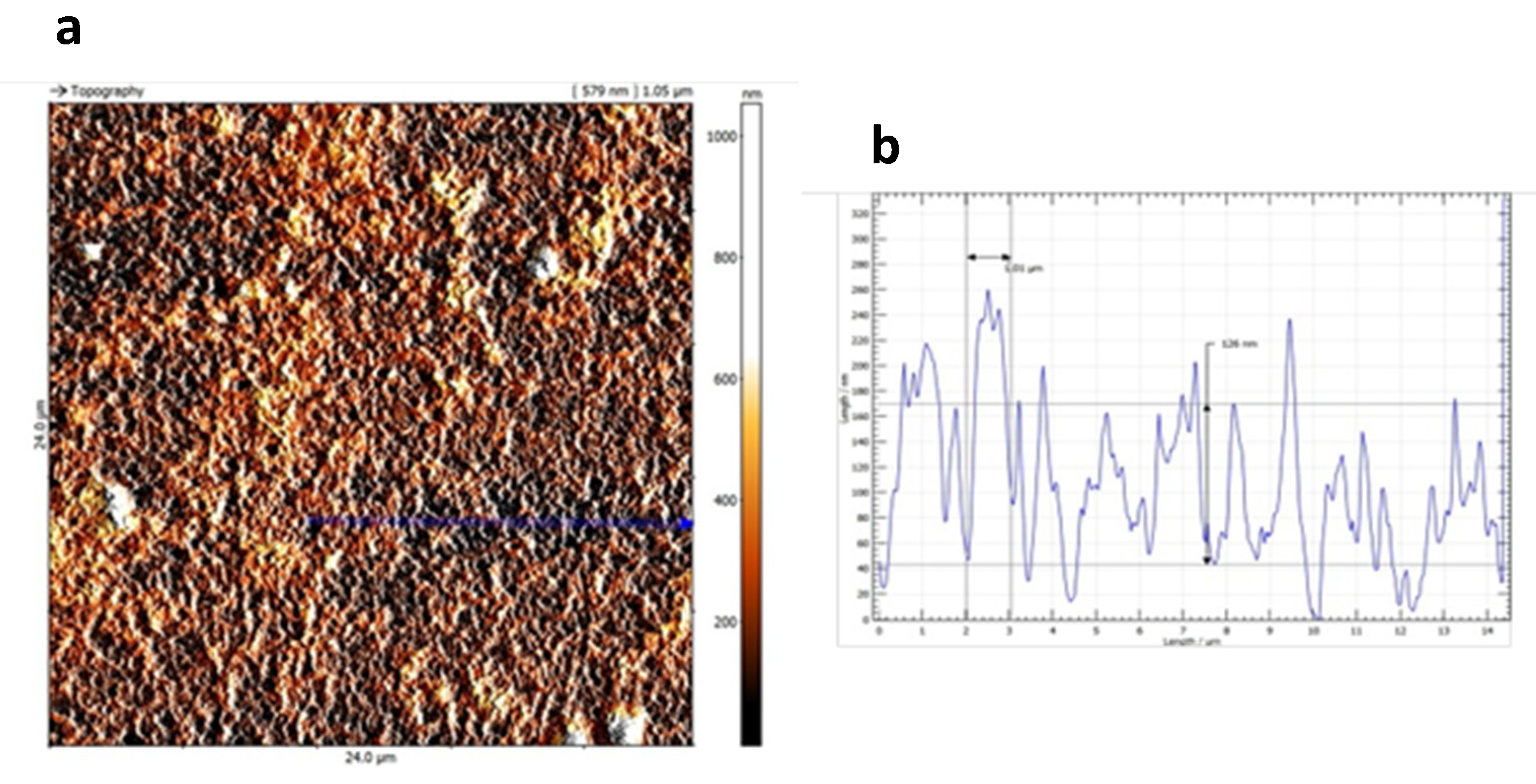 Molecules 24 01910 g003