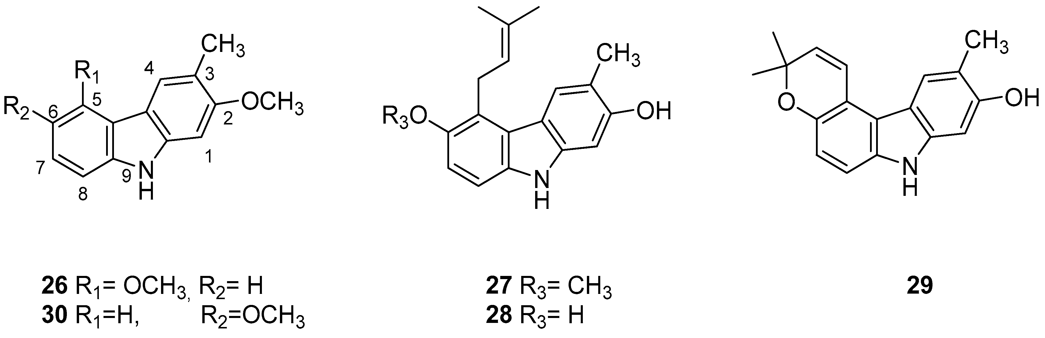 Molecules 24 01912 g012
