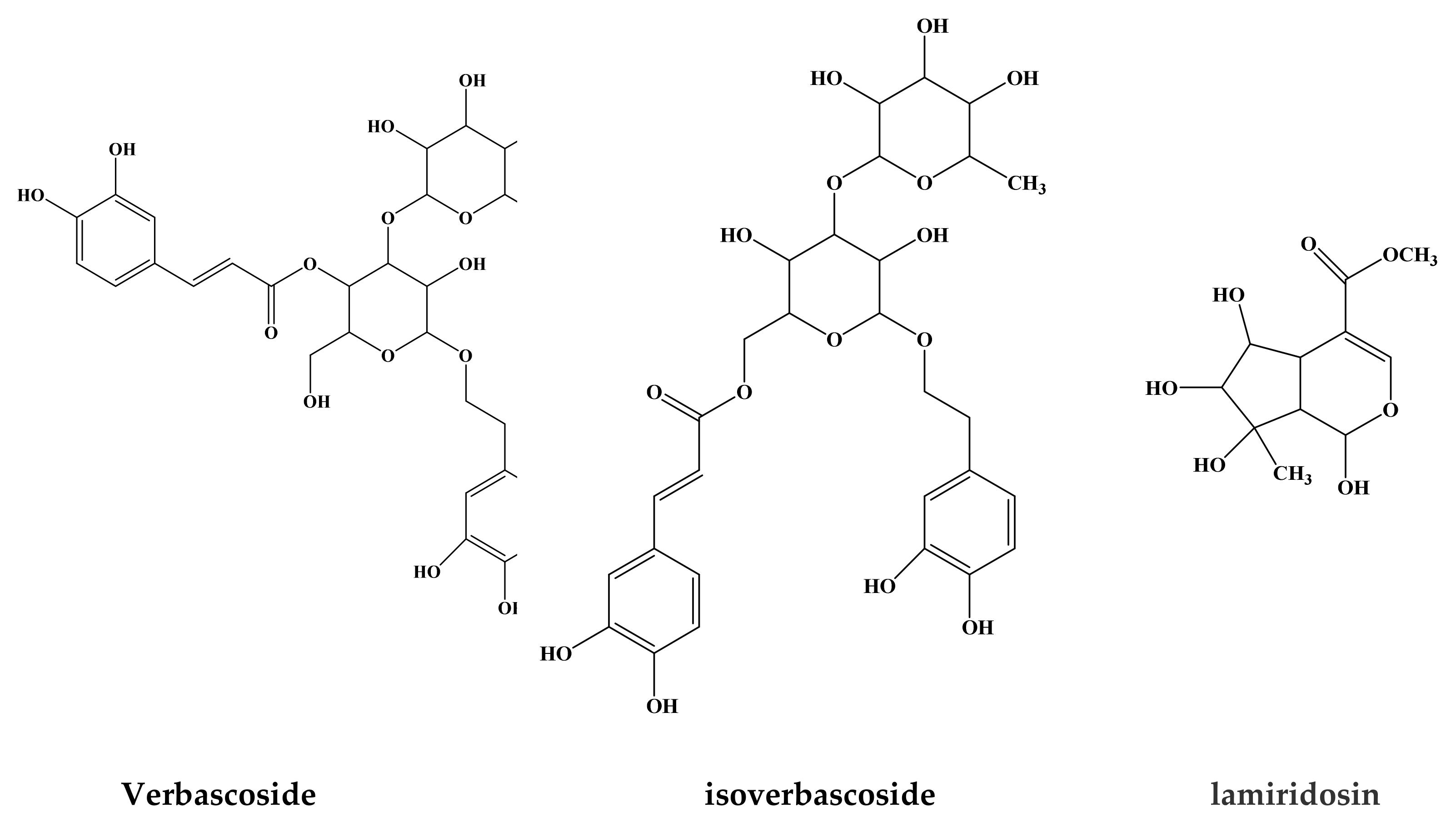 Molecules 24 01913 g001