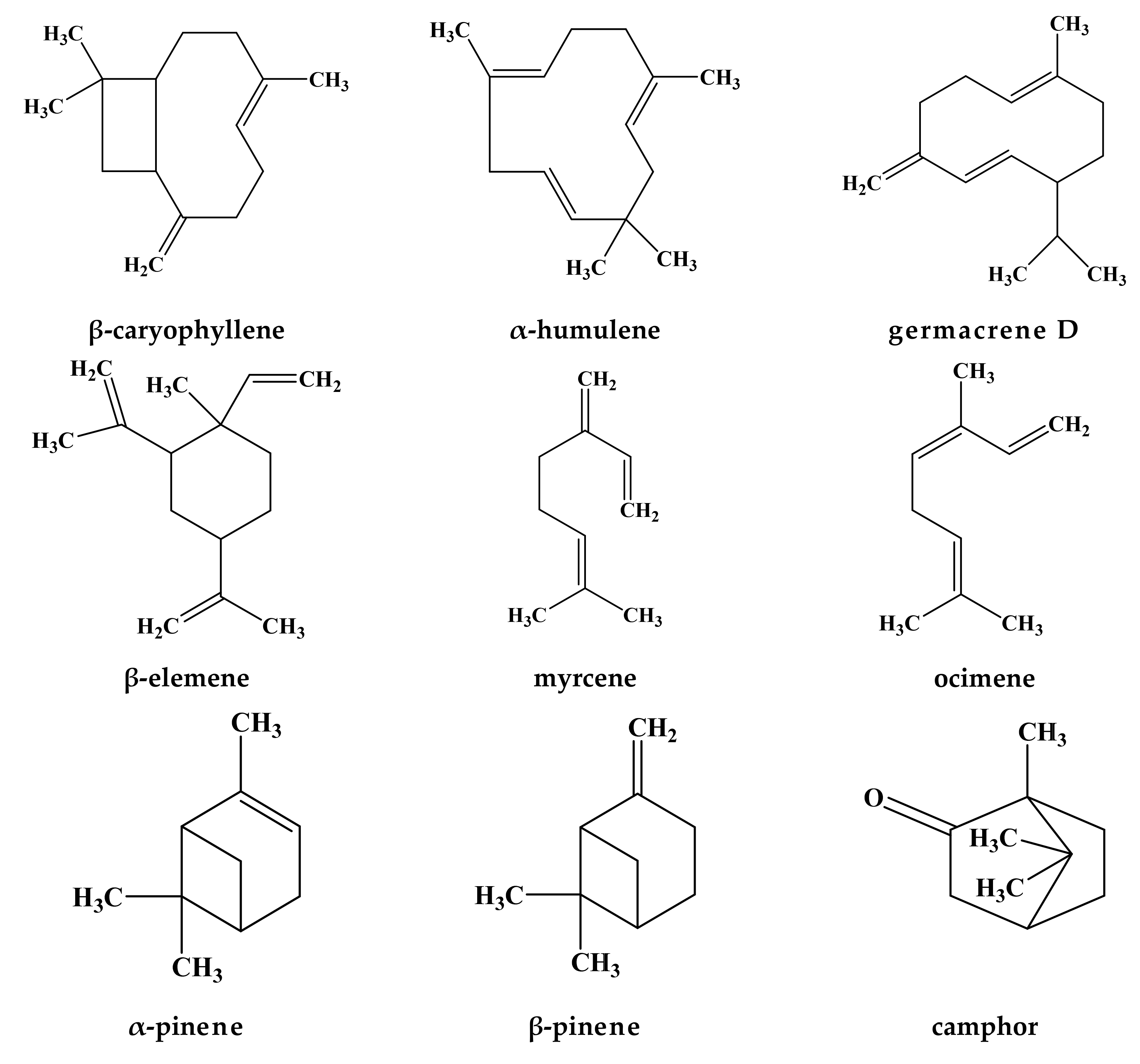 Molecules 24 01913 g002a