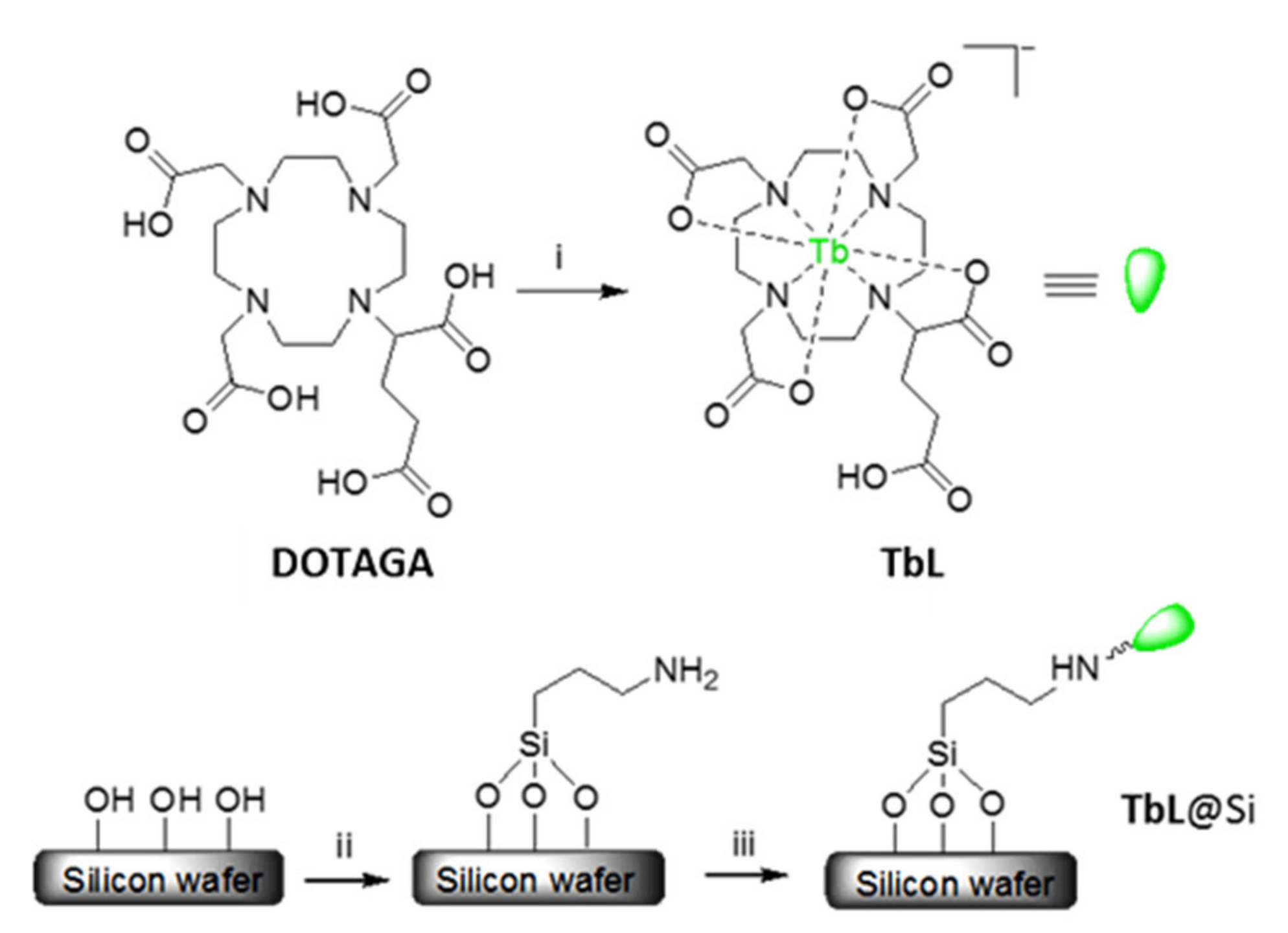 Molecules 24 01914 sch001