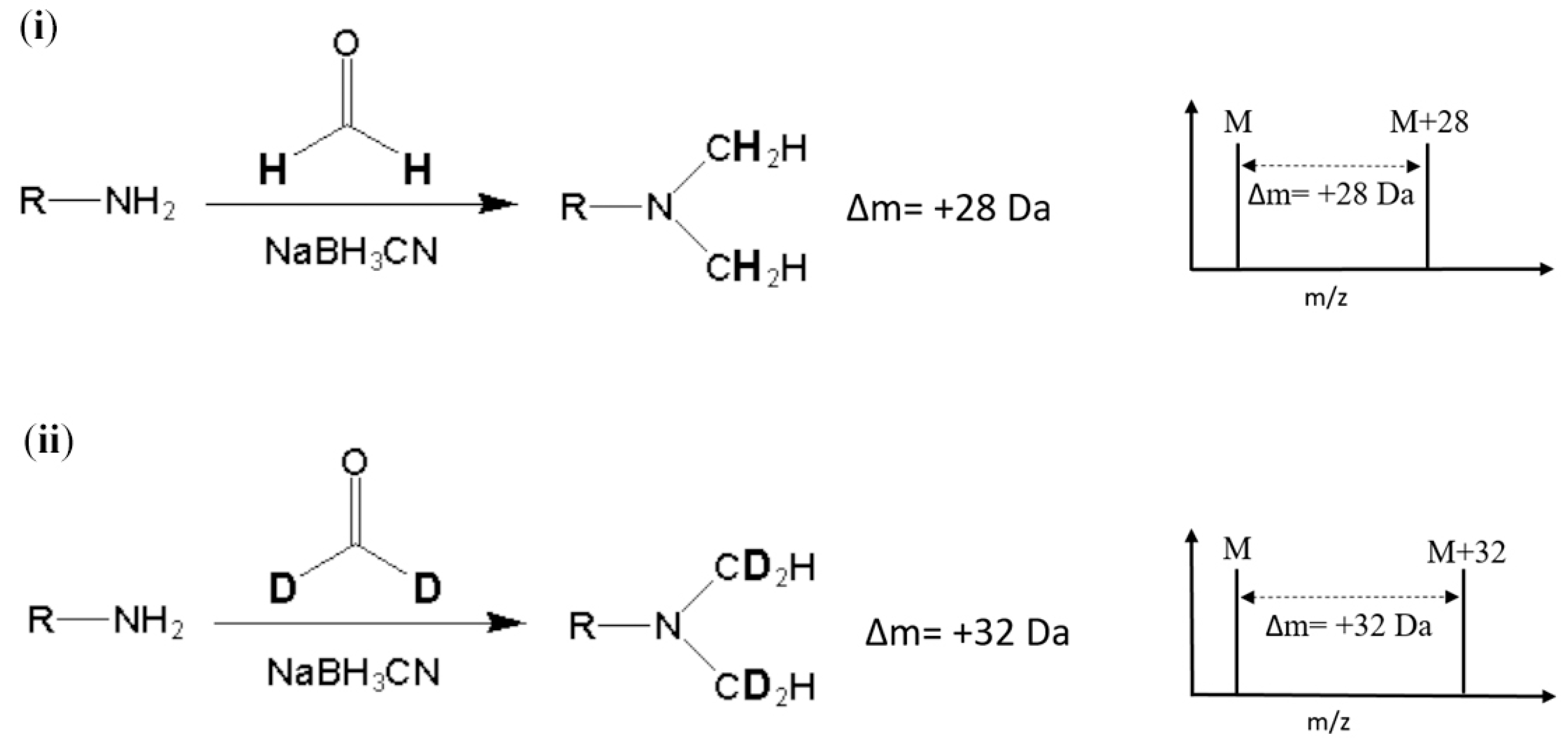 Molecules 24 01920 g001
