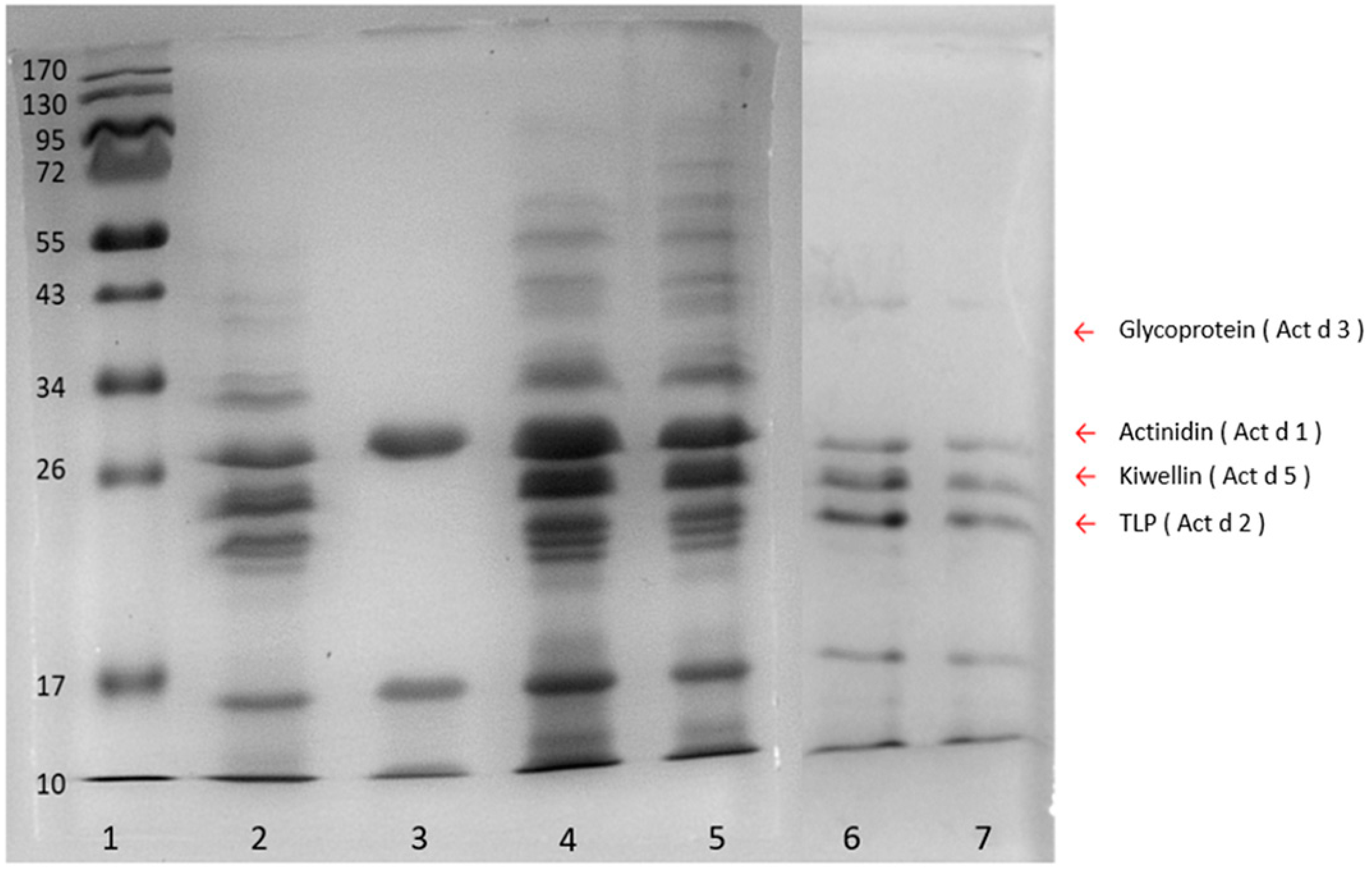 Molecules 24 01920 g002