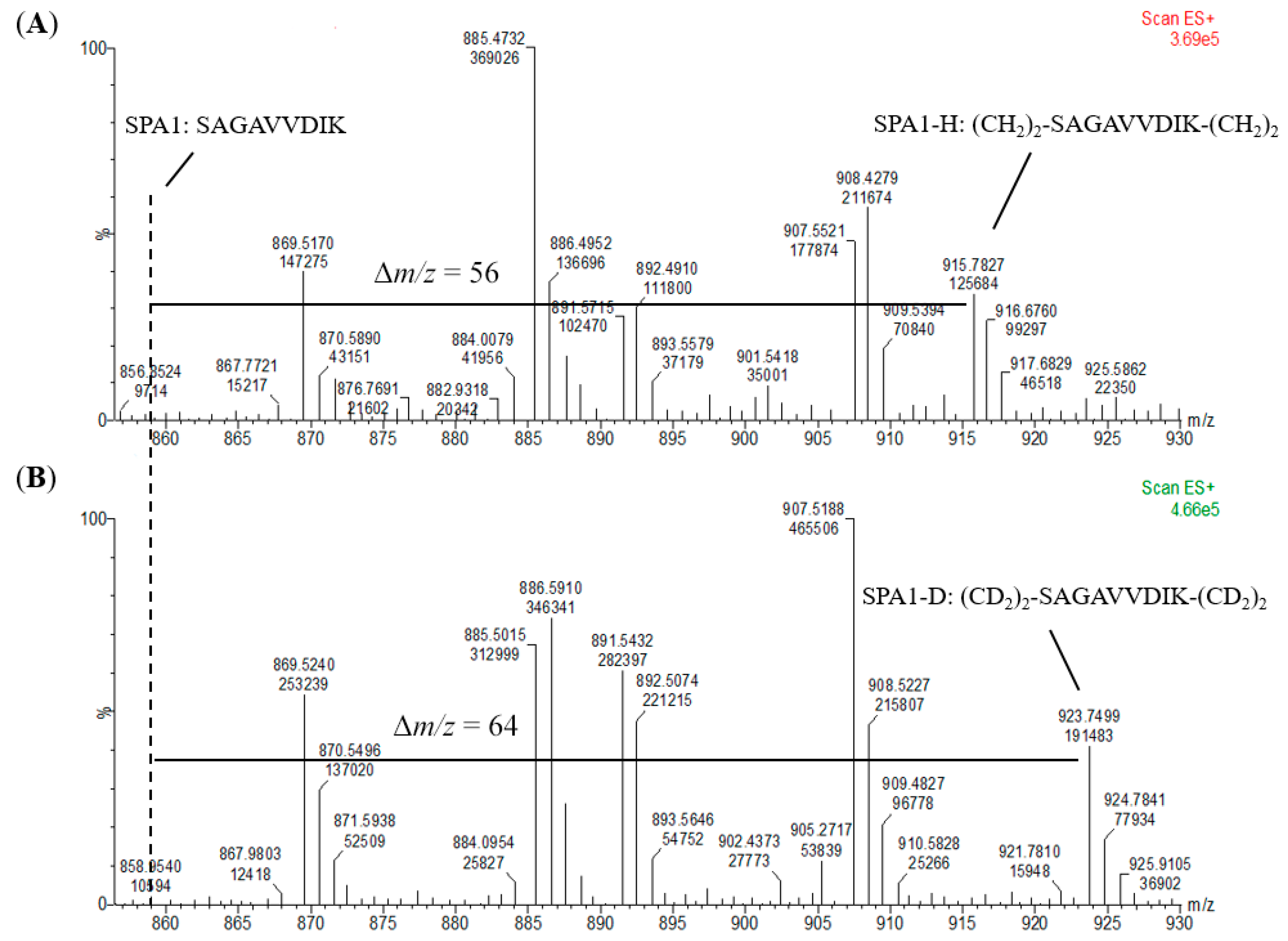 Molecules 24 01920 g004