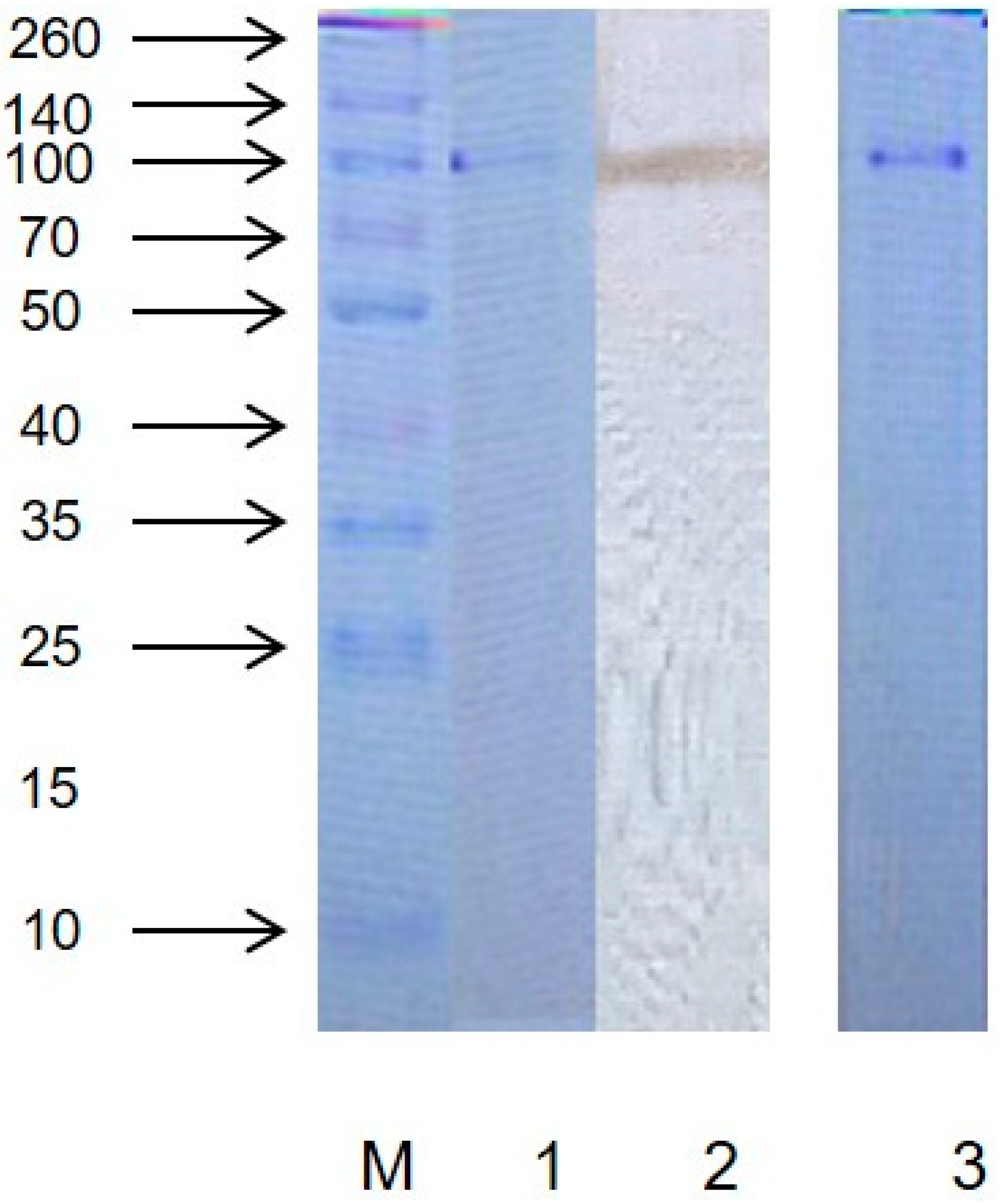Molecules 24 01922 g001 Molecules 24 01922 g001