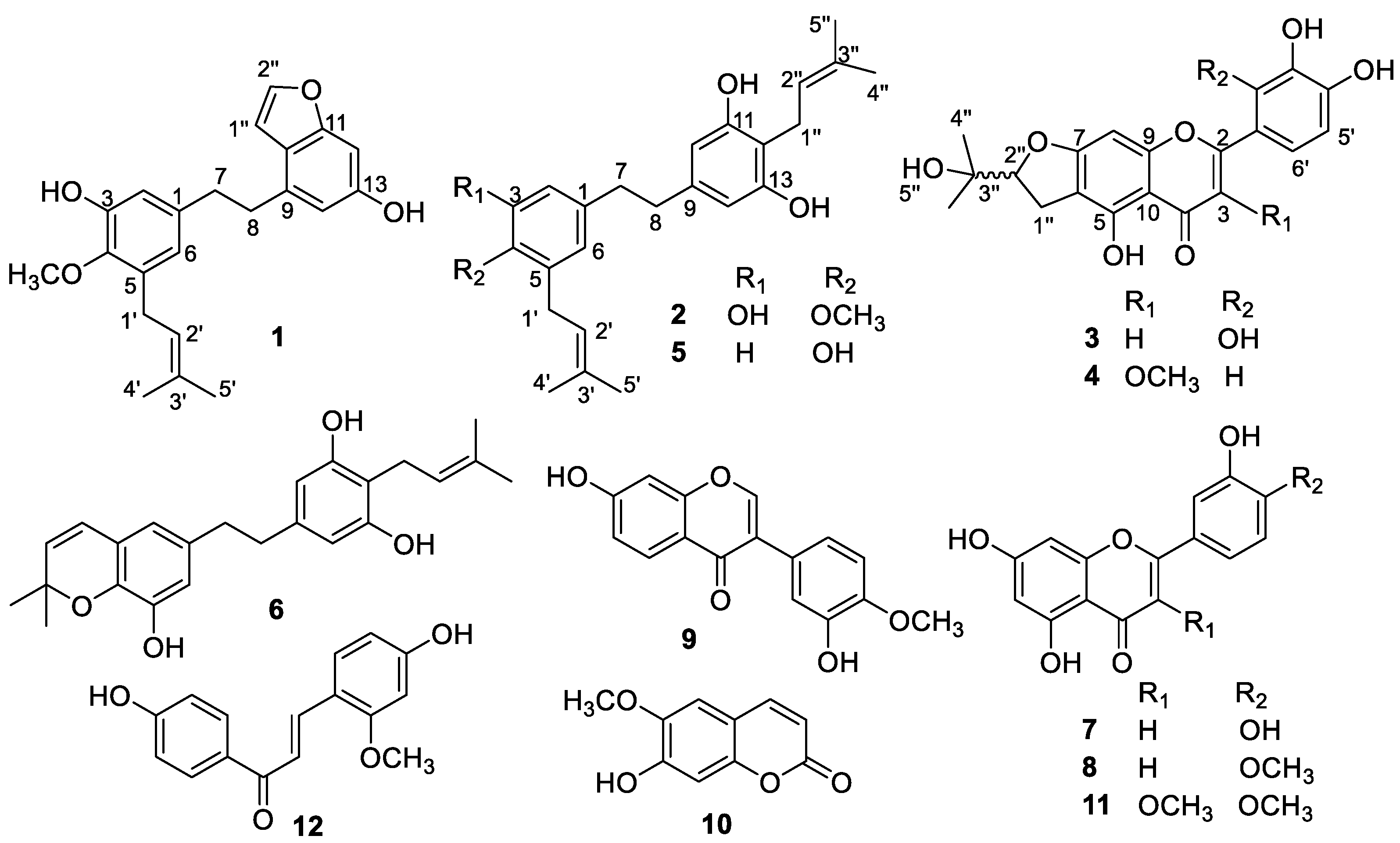 Molecules 24 01923 g001