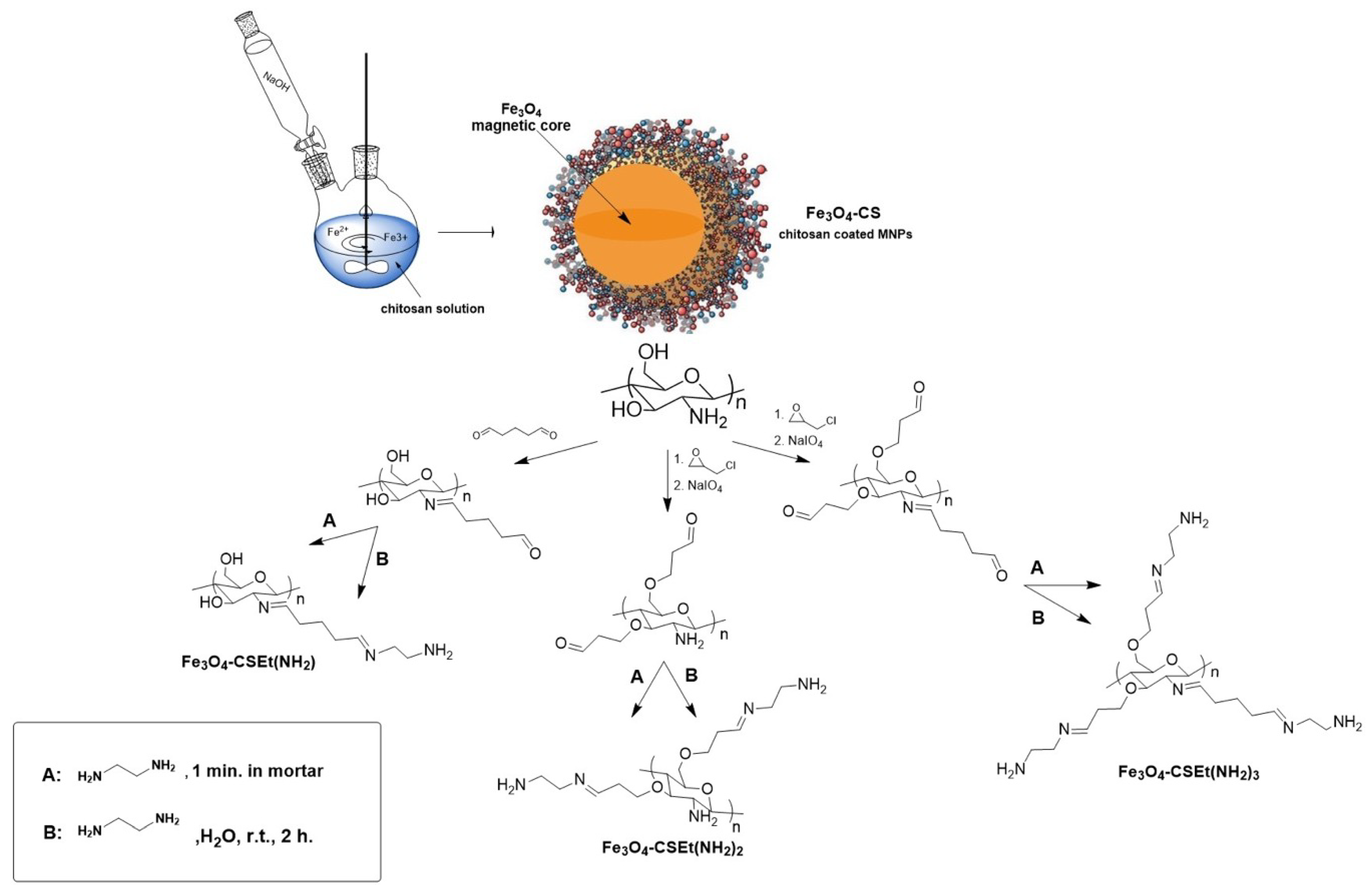 Molecules 24 01925 g001