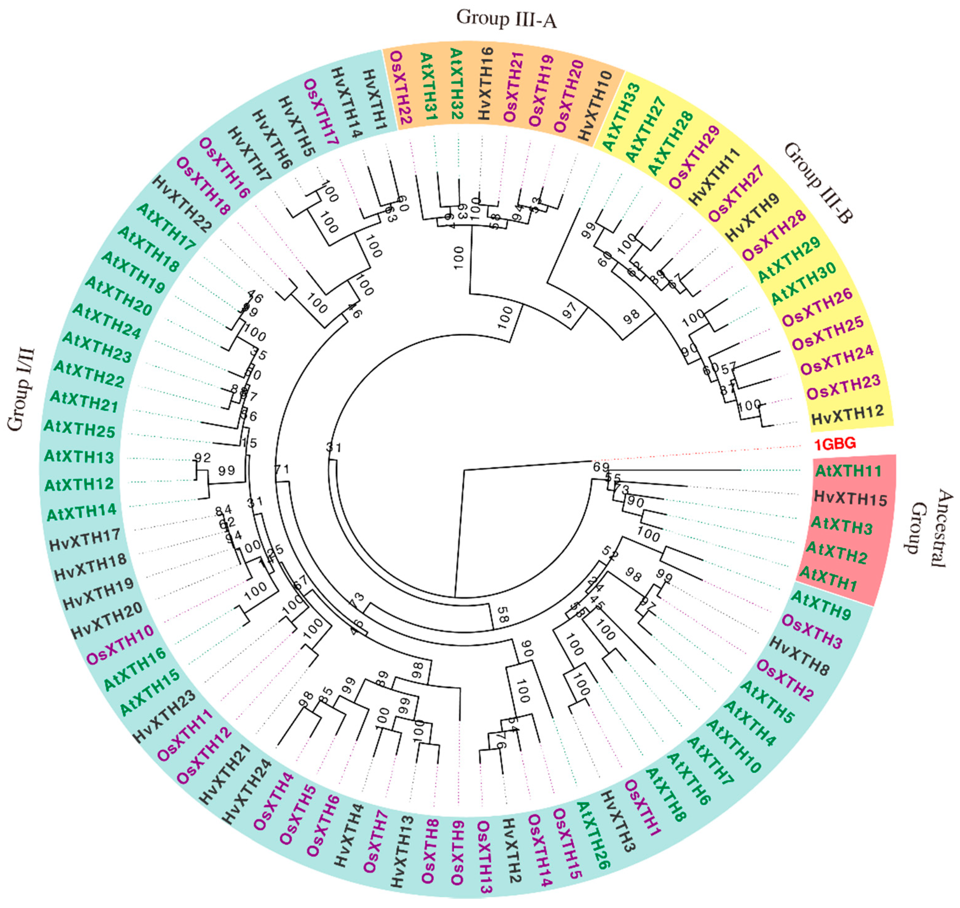 Molecules 24 01935 g001 Molecules 24 01935 g001