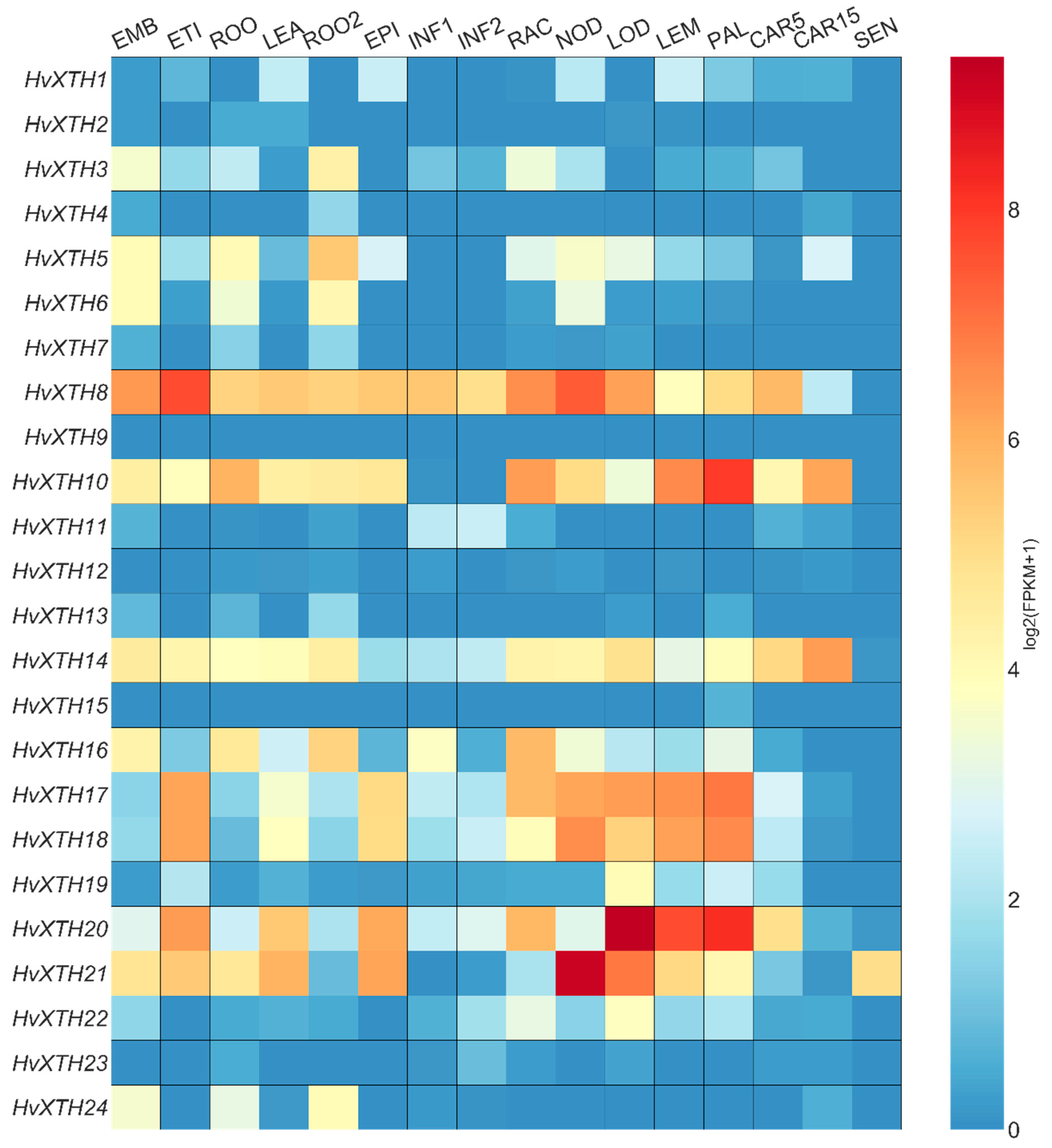 Molecules 24 01935 g005 Molecules 24 01935 g005