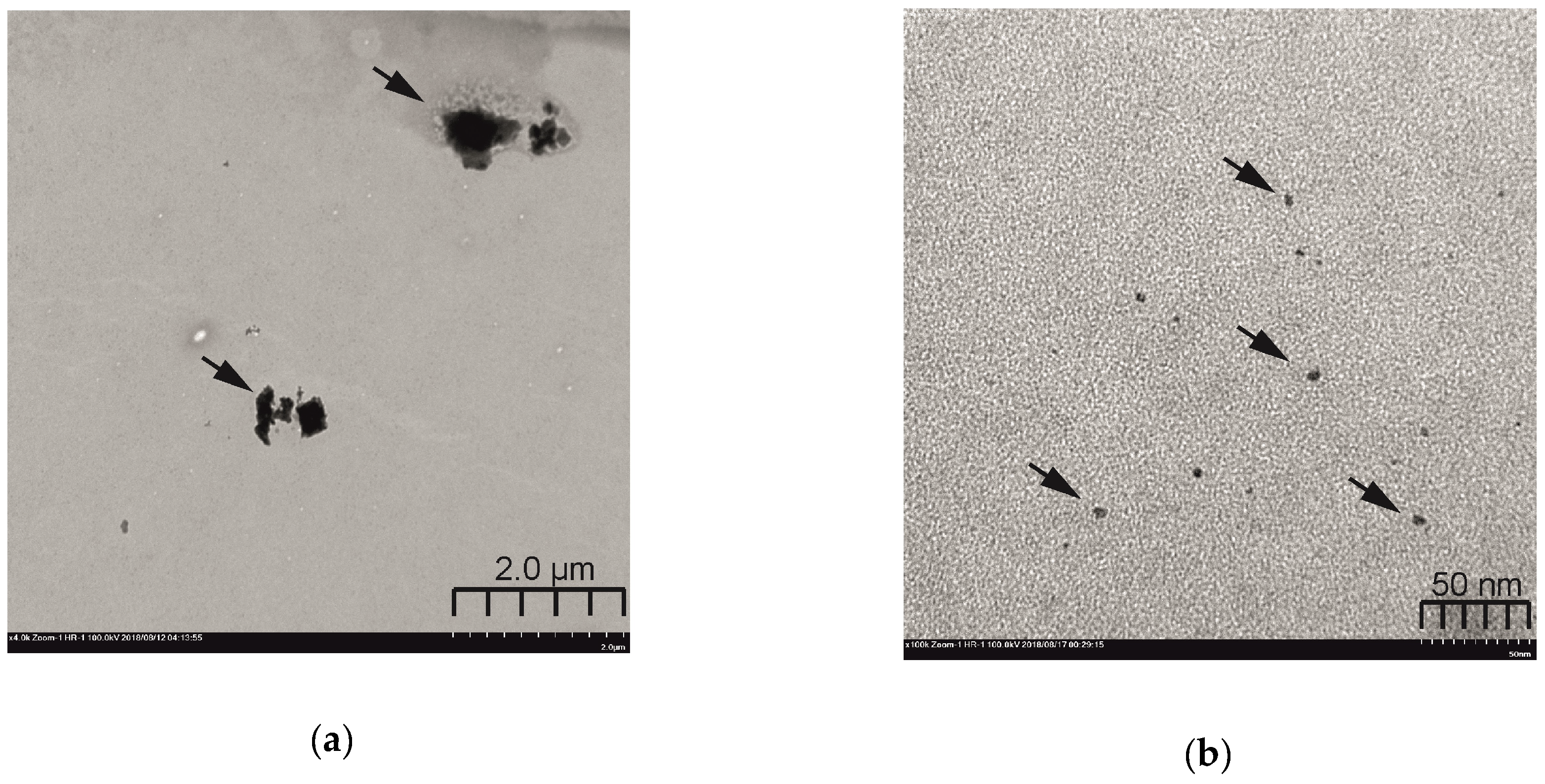 Molecules 24 01939 g005 Molecules 24 01939 g005