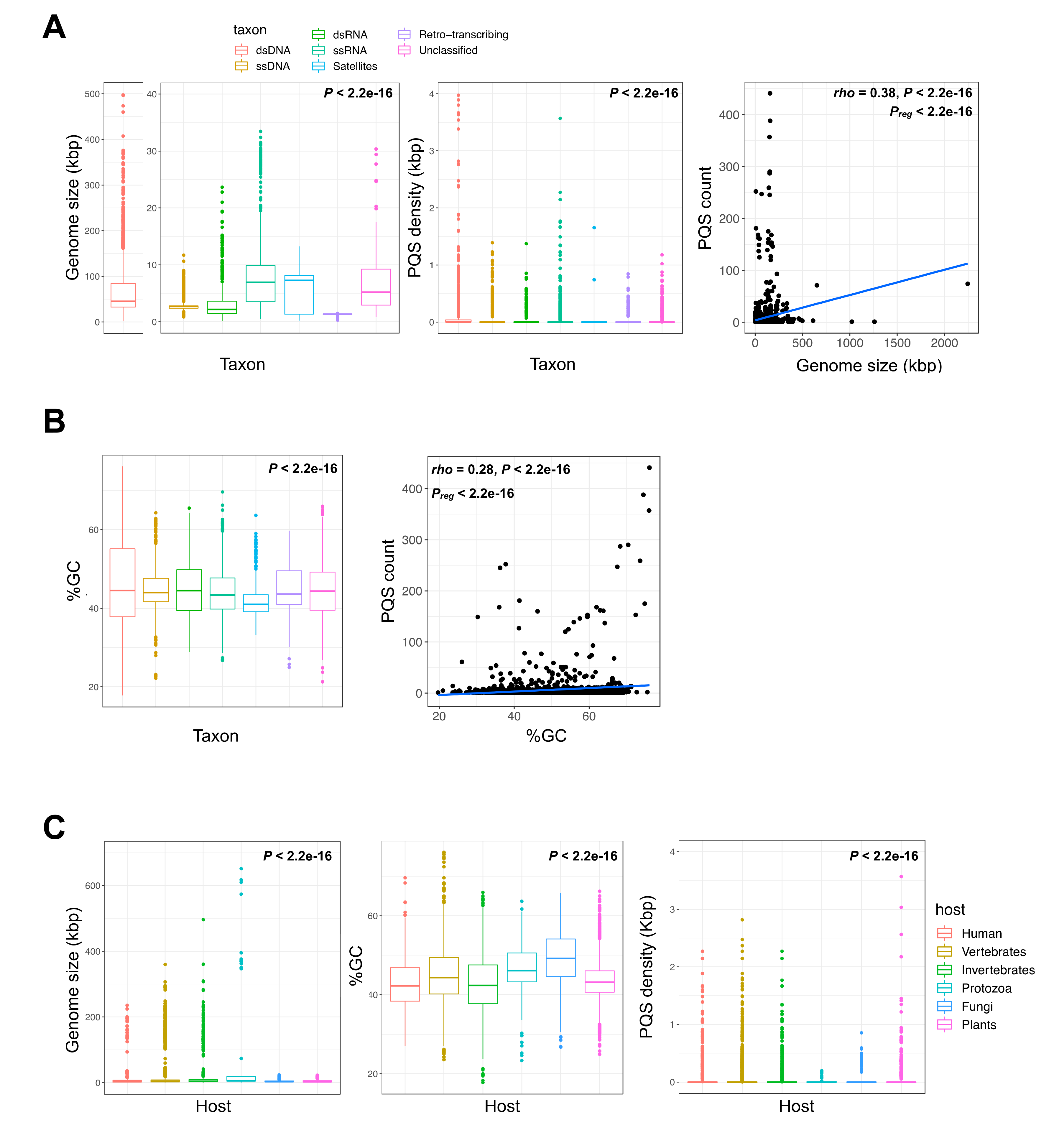 human papillomavirus g quadruplexes ceai de marar