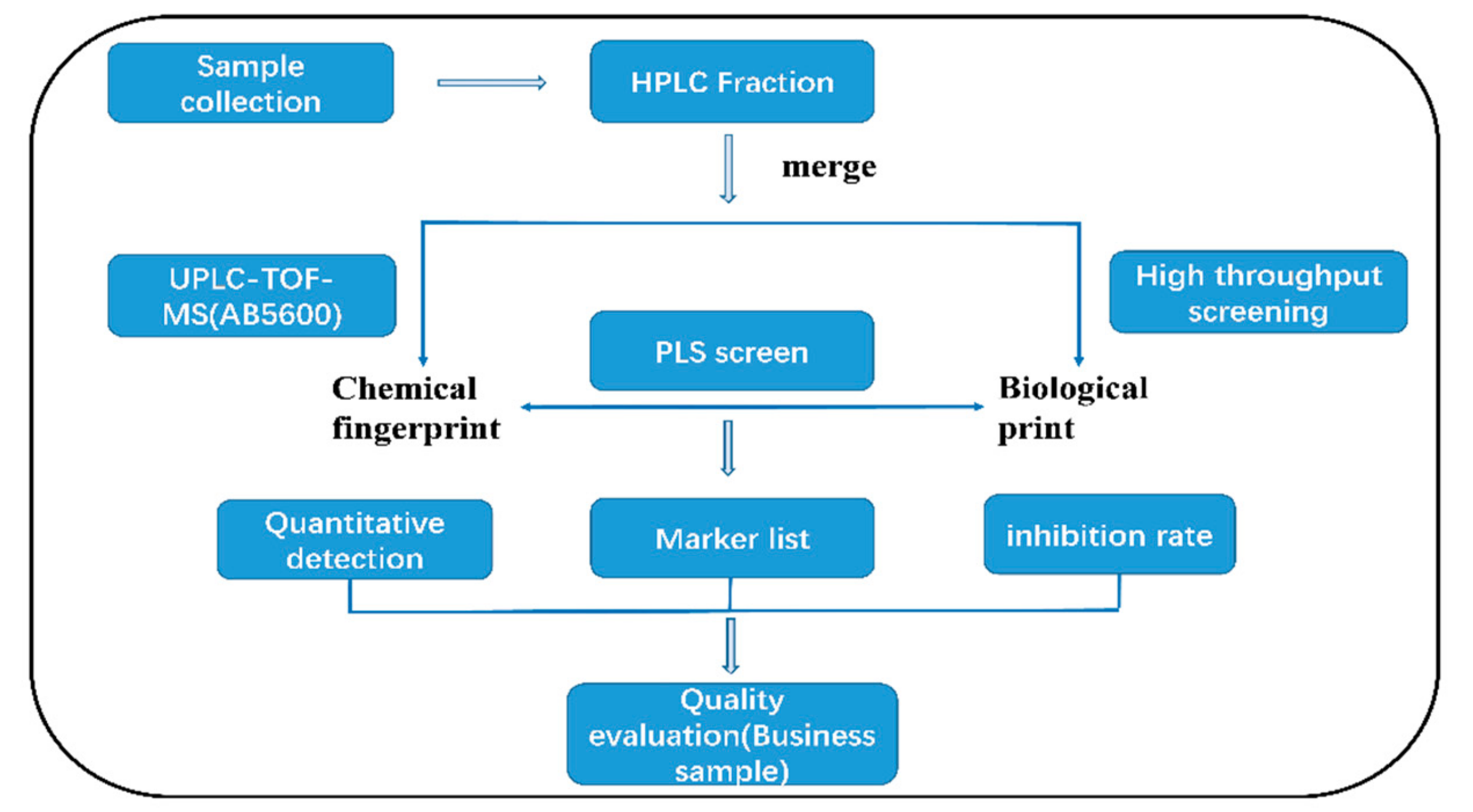 Molecules 24 01943 g001