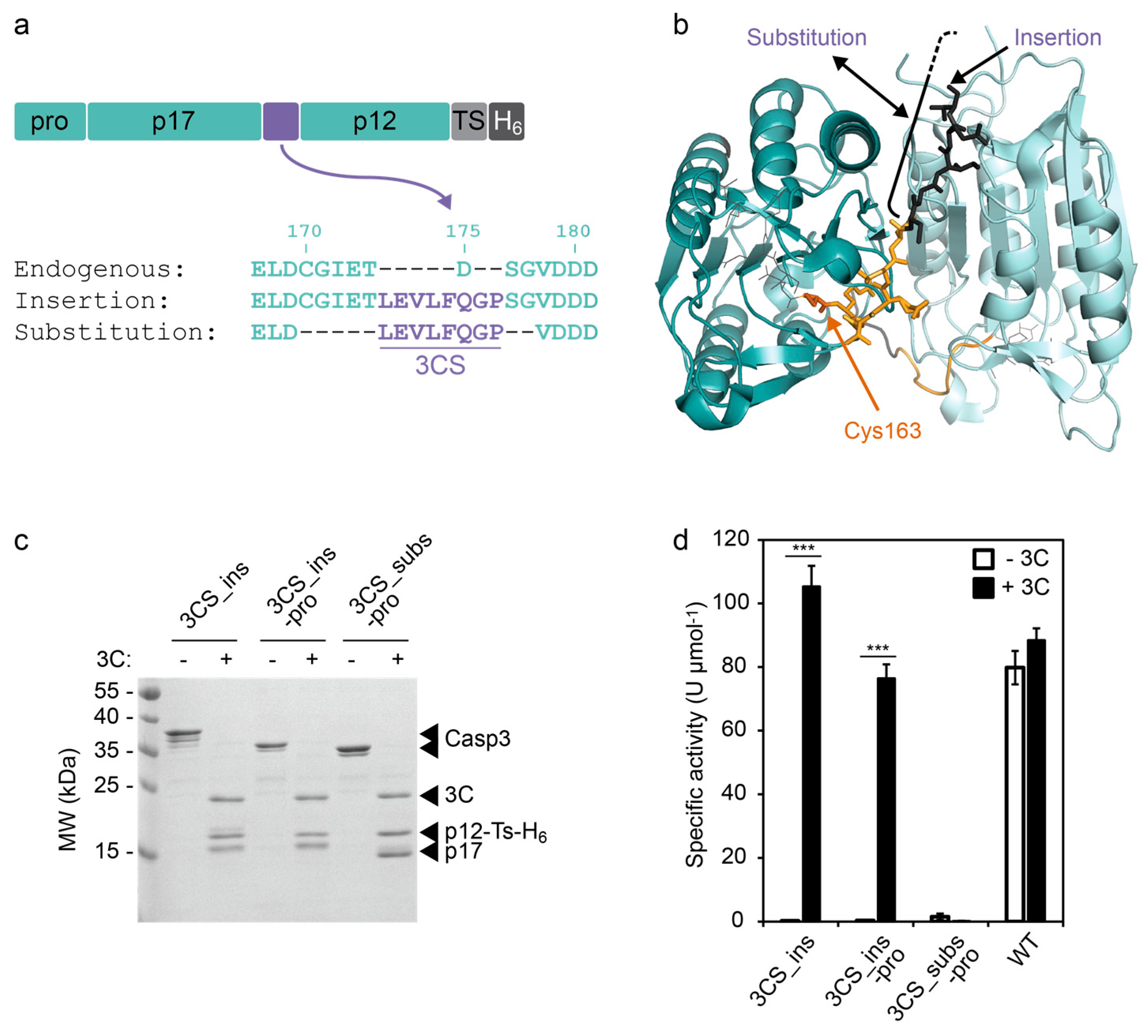Molecules 24 01945 g001 Molecules 24 01945 g001
