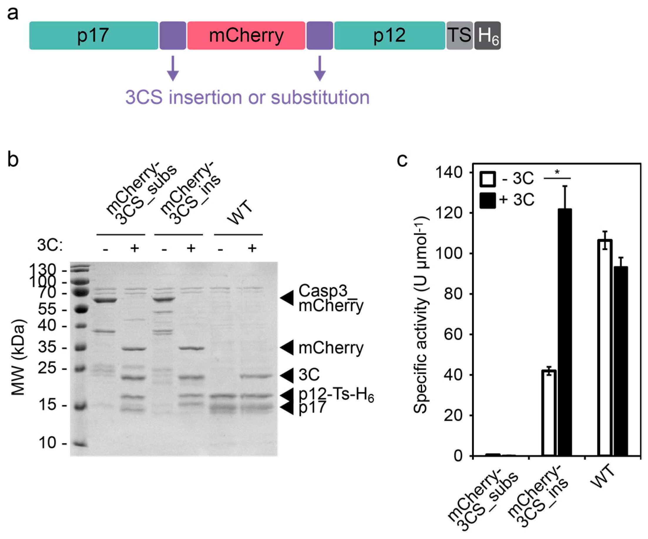 Molecules 24 01945 g002 Molecules 24 01945 g002