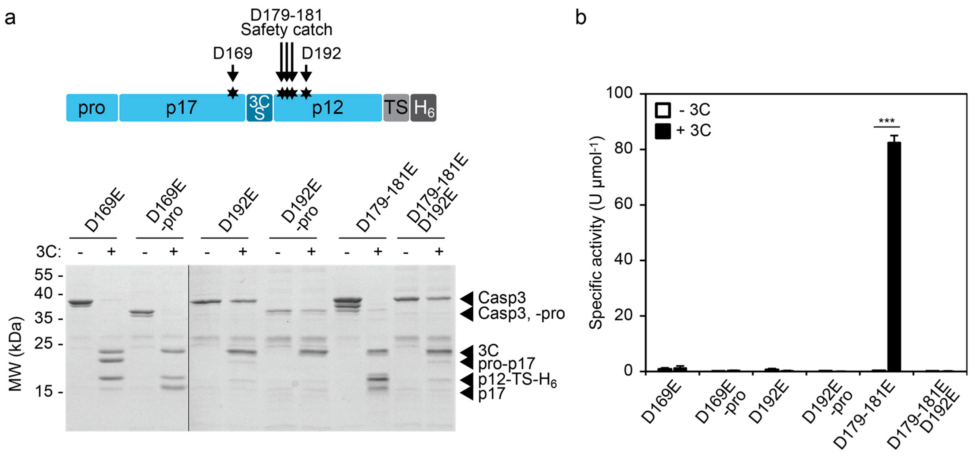 Molecules 24 01945 g004 Molecules 24 01945 g004