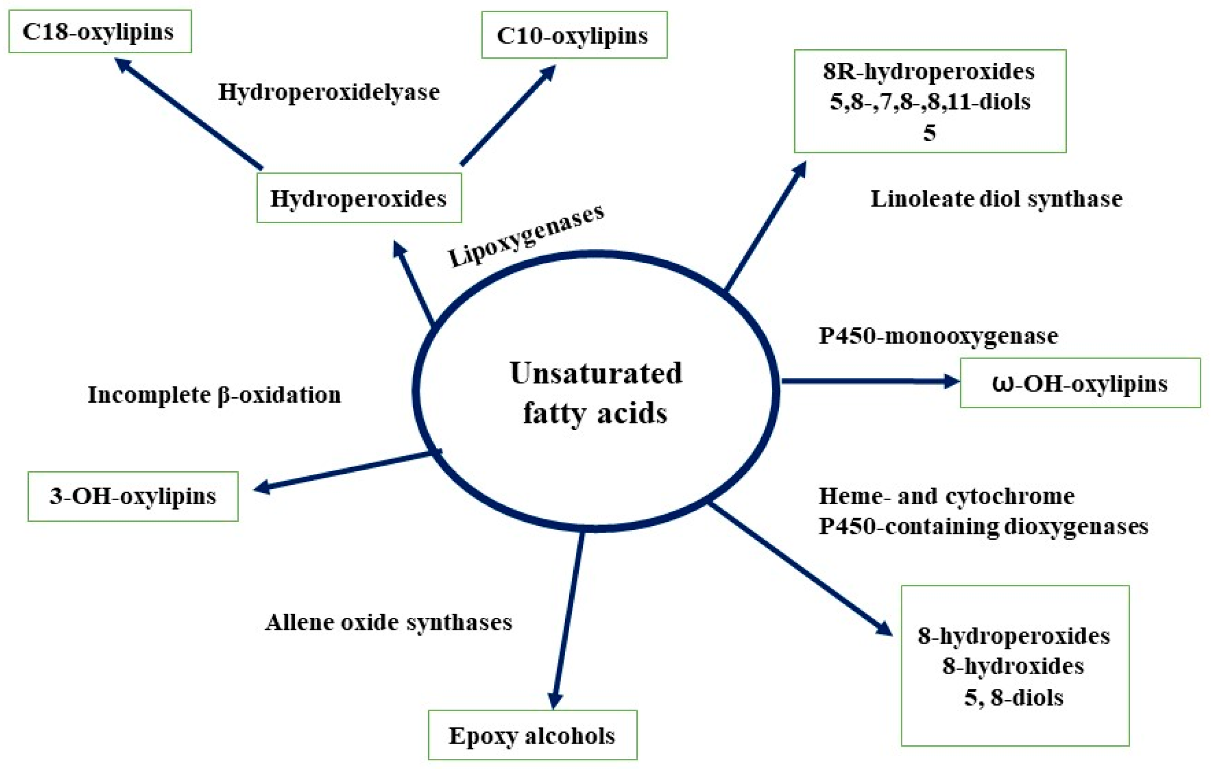 Molecules 24 01950 g005 Molecules 24 01950 g005