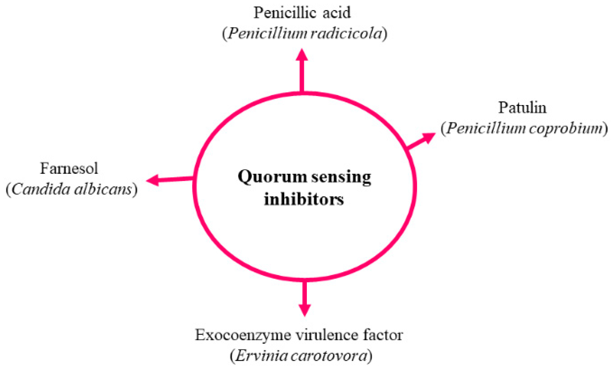 Molecules 24 01950 g006 Molecules 24 01950 g006