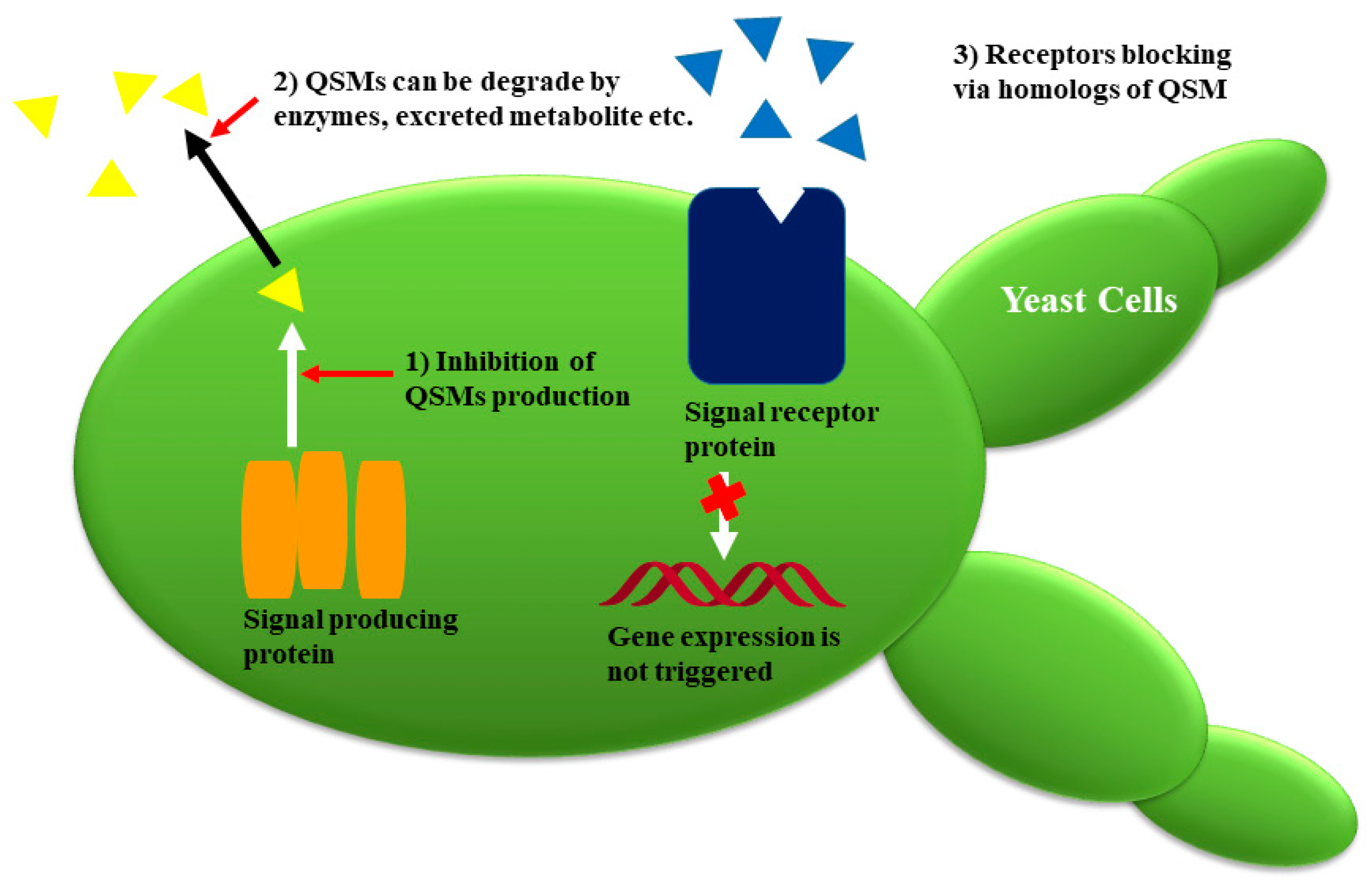 Molecules 24 01950 g007 Molecules 24 01950 g007
