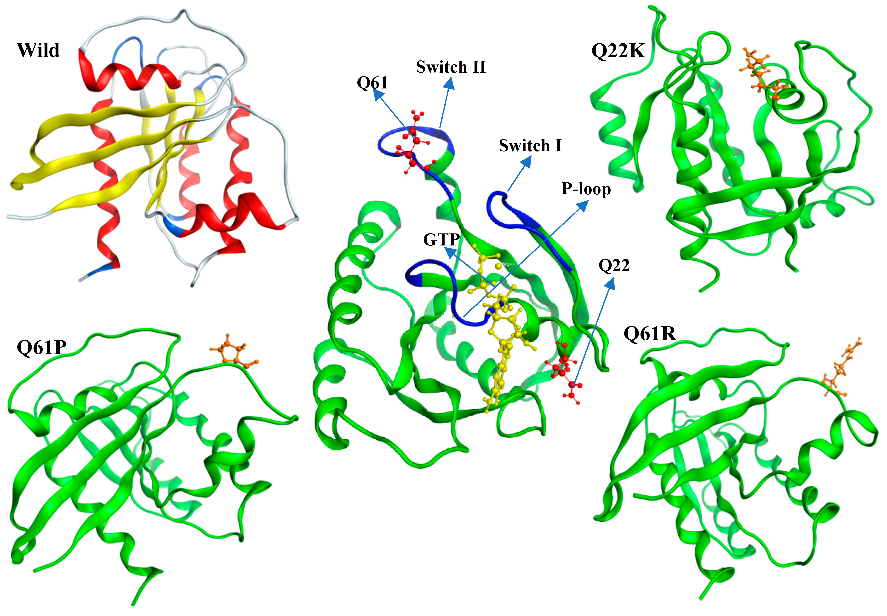 Molecules 24 01951 g003 Molecules 24 01951 g003
