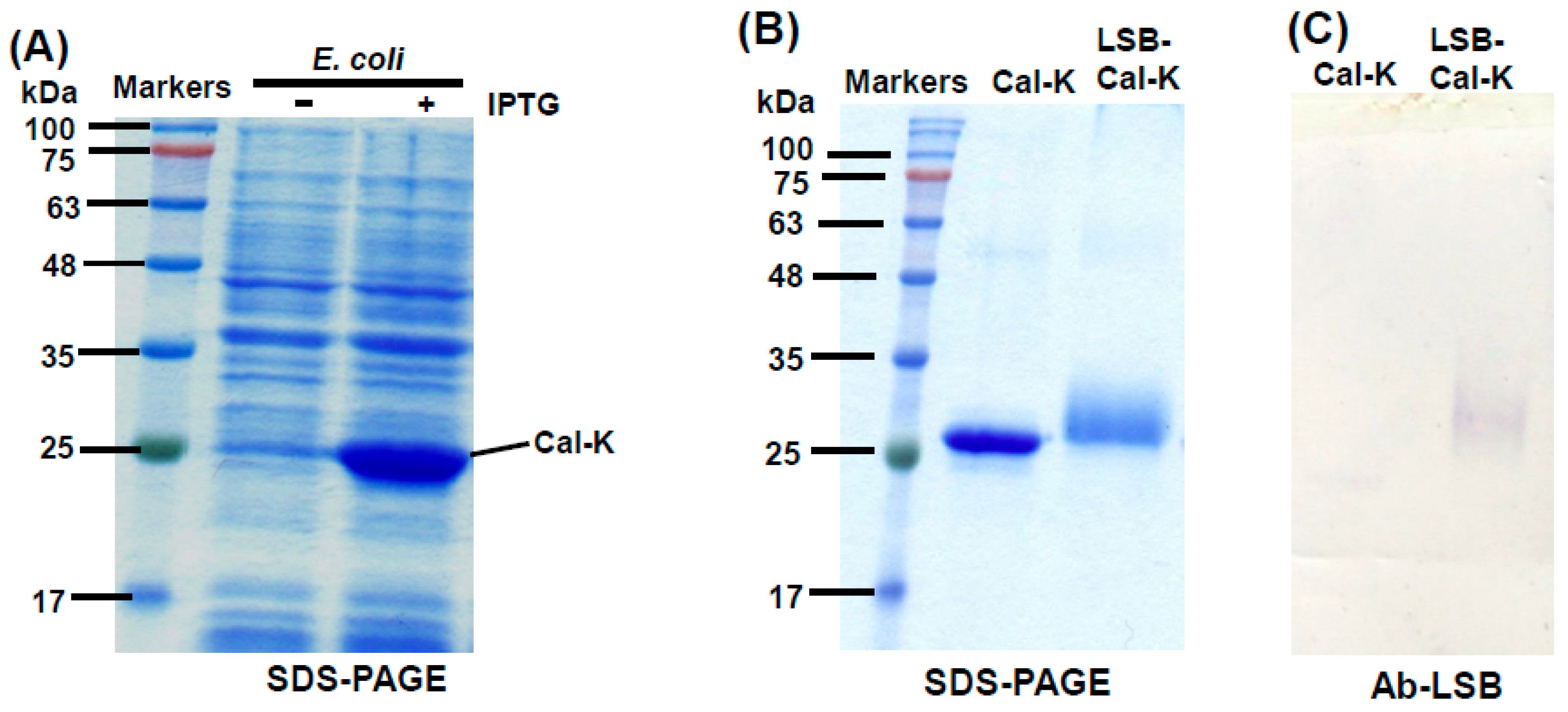 Molecules 24 01952 g001 Molecules 24 01952 g001