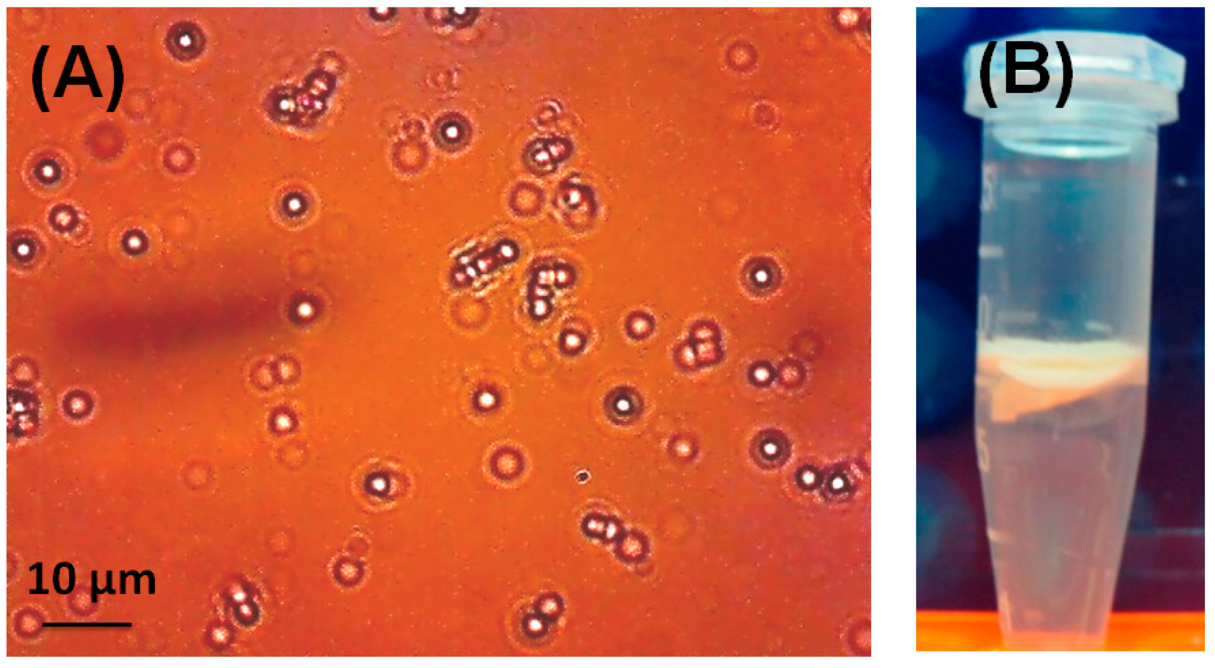 Molecules 24 01952 g002 Molecules 24 01952 g002