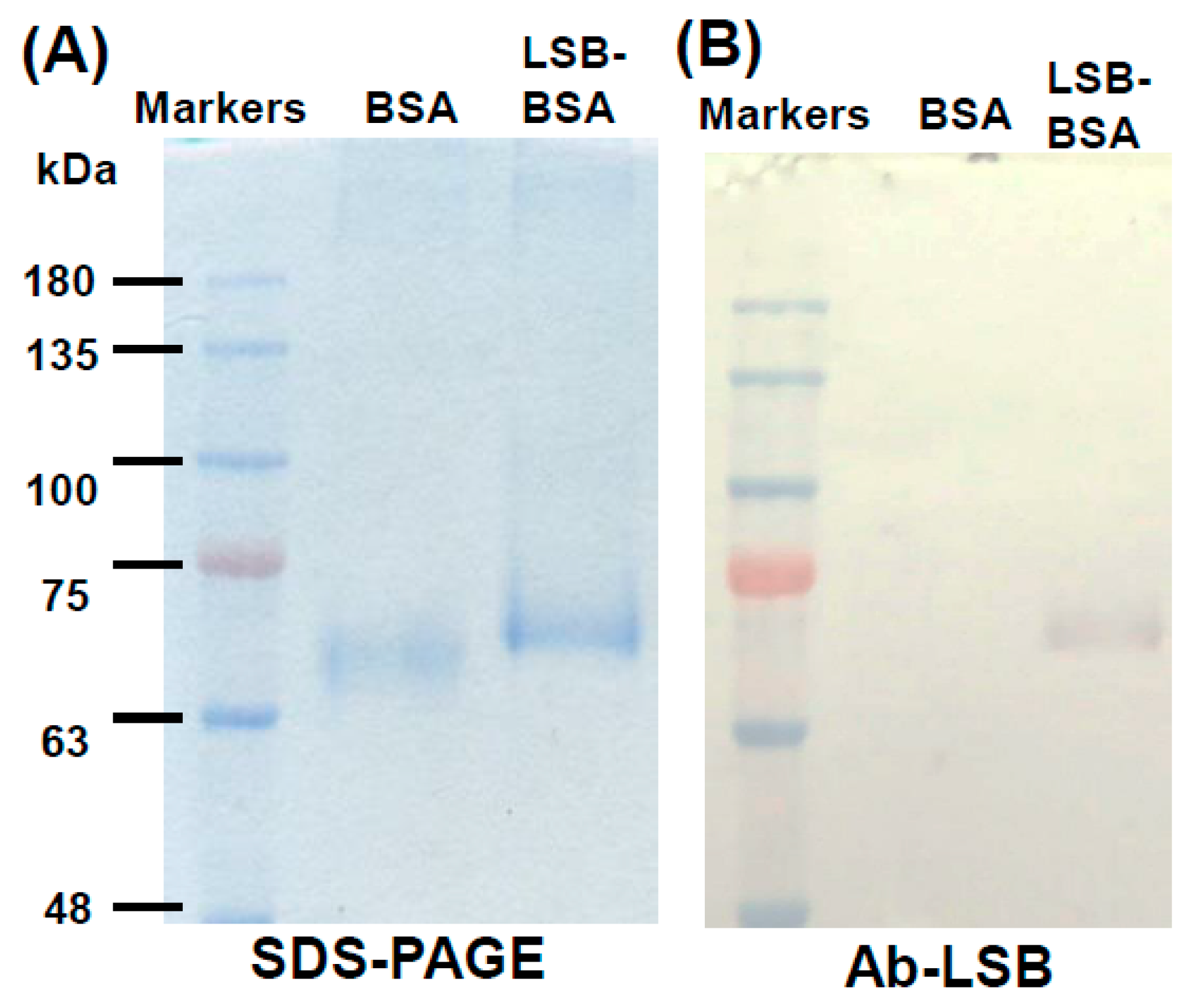 Molecules 24 01952 g003 Molecules 24 01952 g003