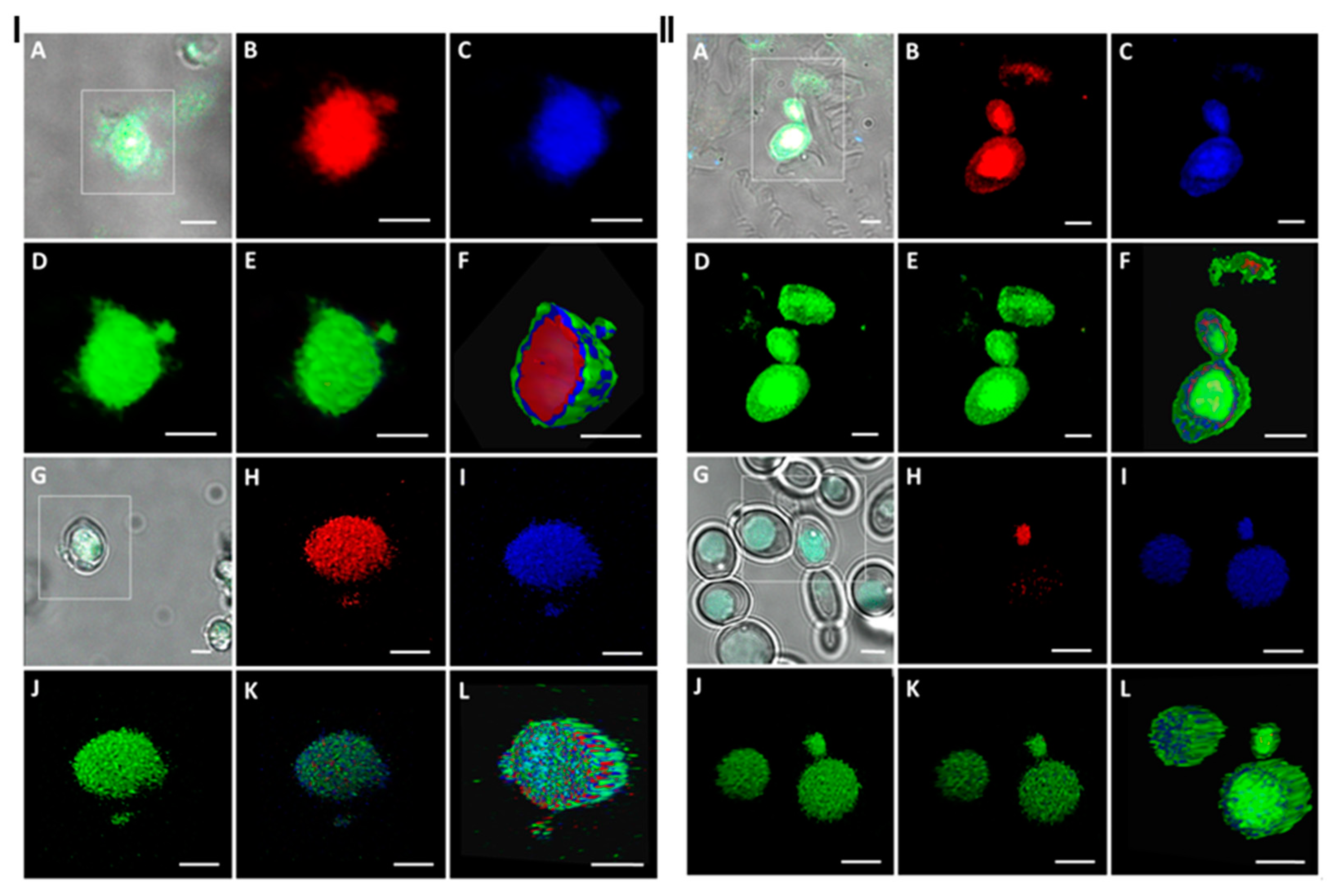 Molecules 24 01954 g003 Molecules 24 01954 g003