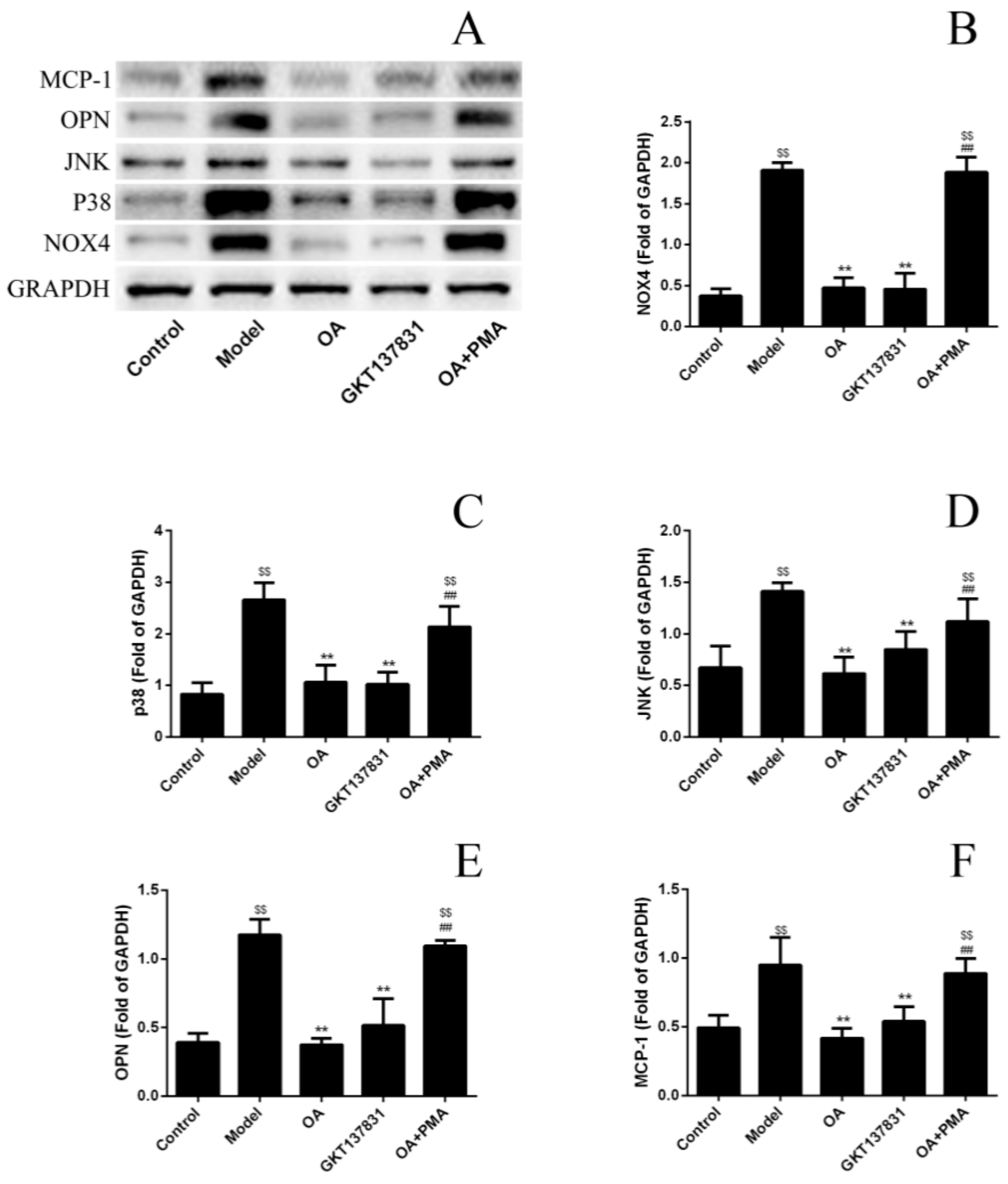 Molecules 24 01957 g005 Molecules 24 01957 g005