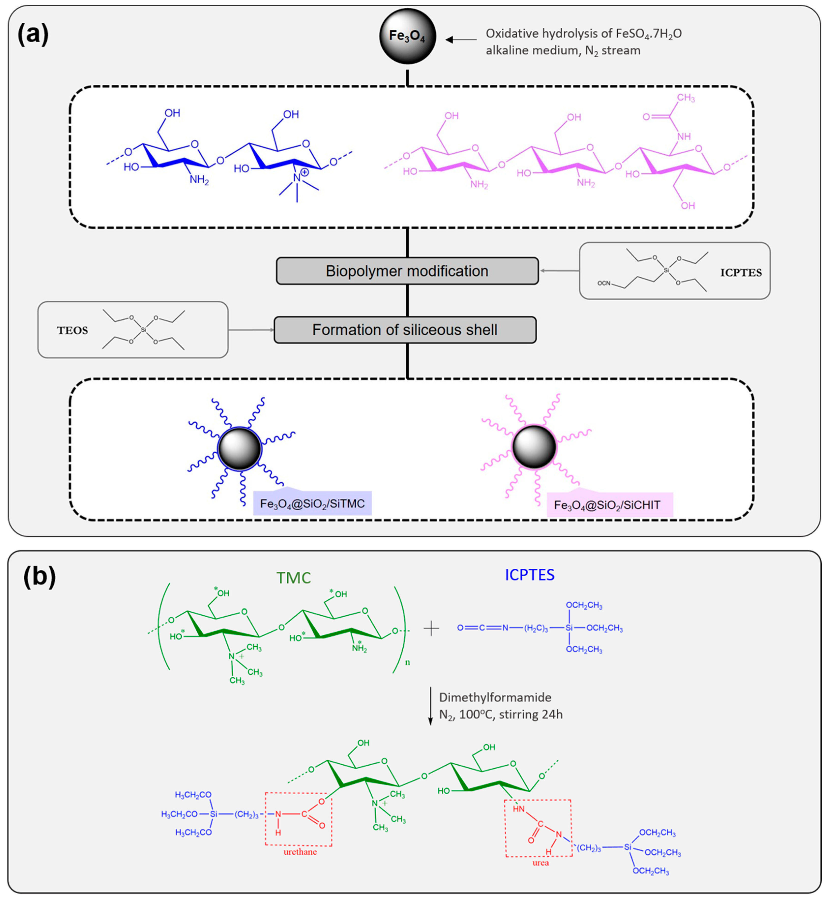 Molecules 24 01958 sch001 Molecules 24 01958 sch001