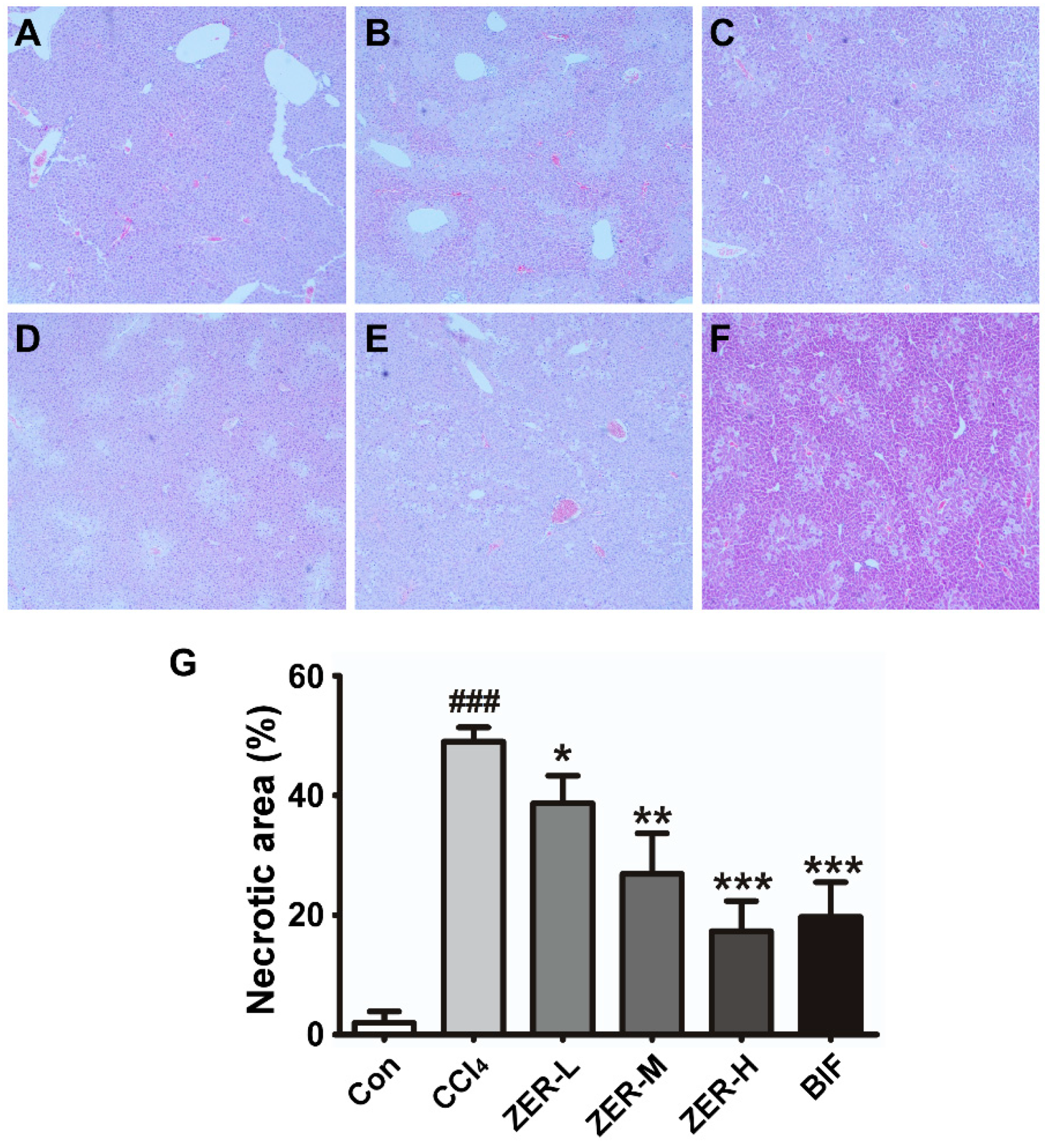 Molecules 24 01964 g002