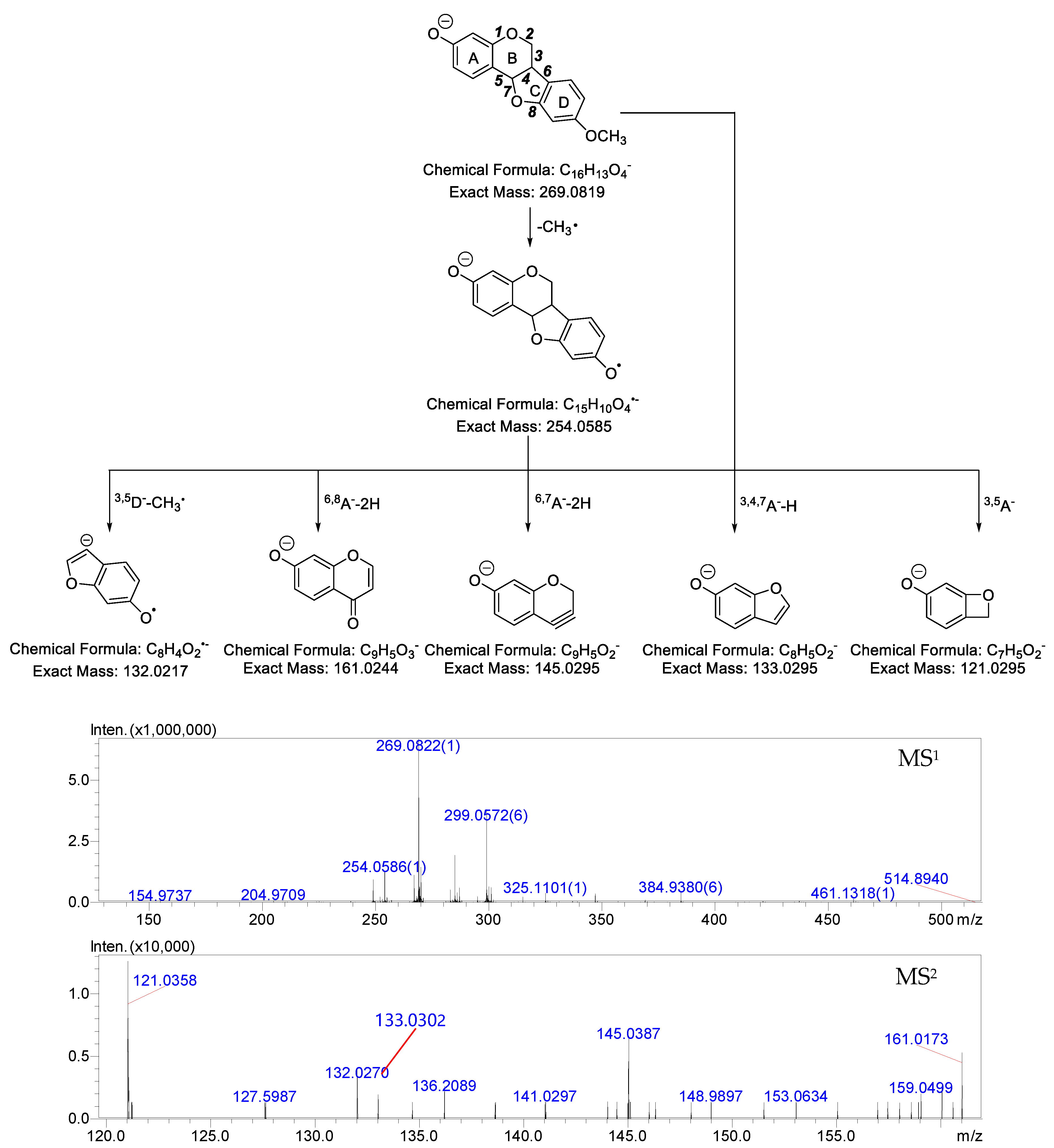 Molecules 24 01966 g002
