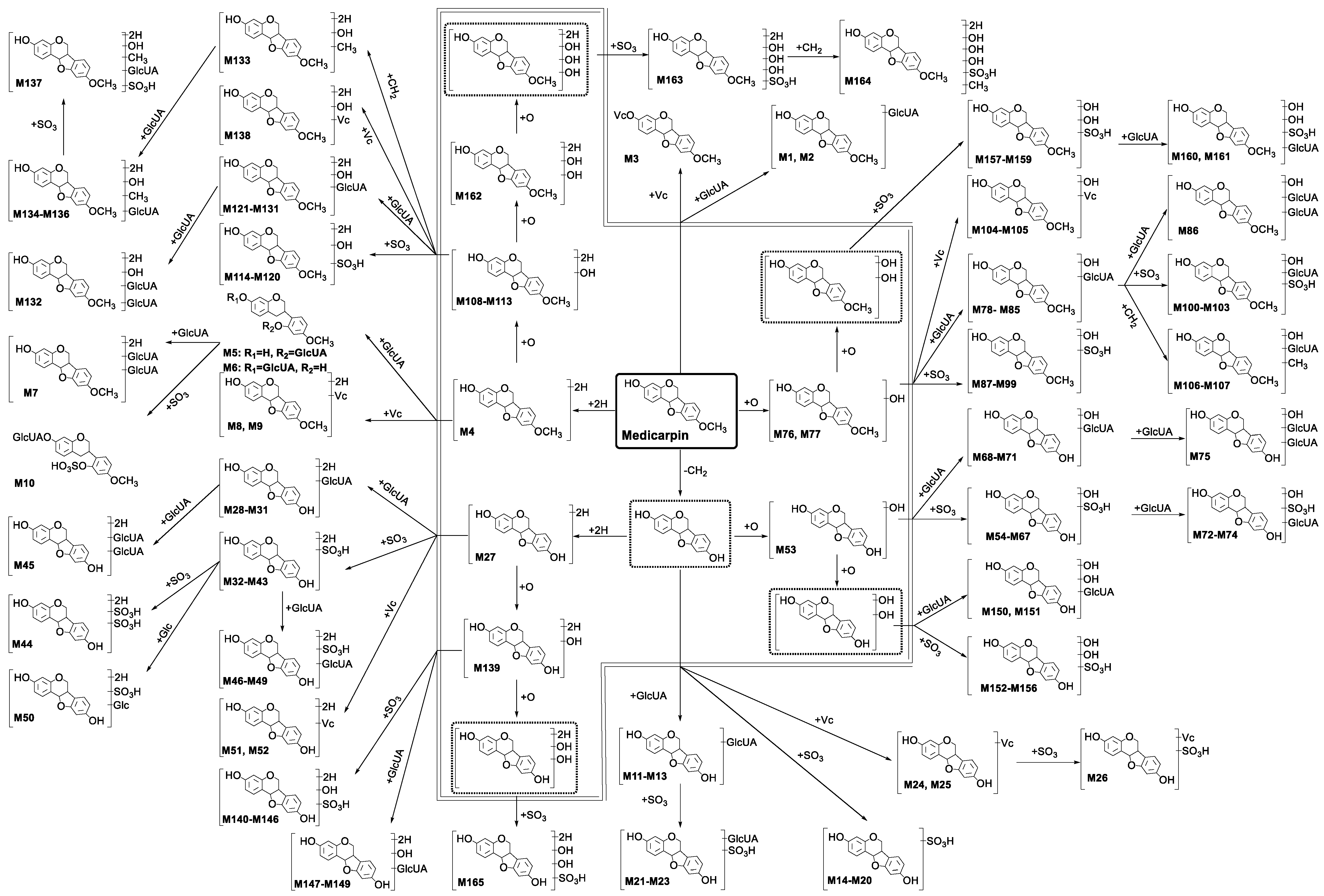 Molecules 24 01966 g003