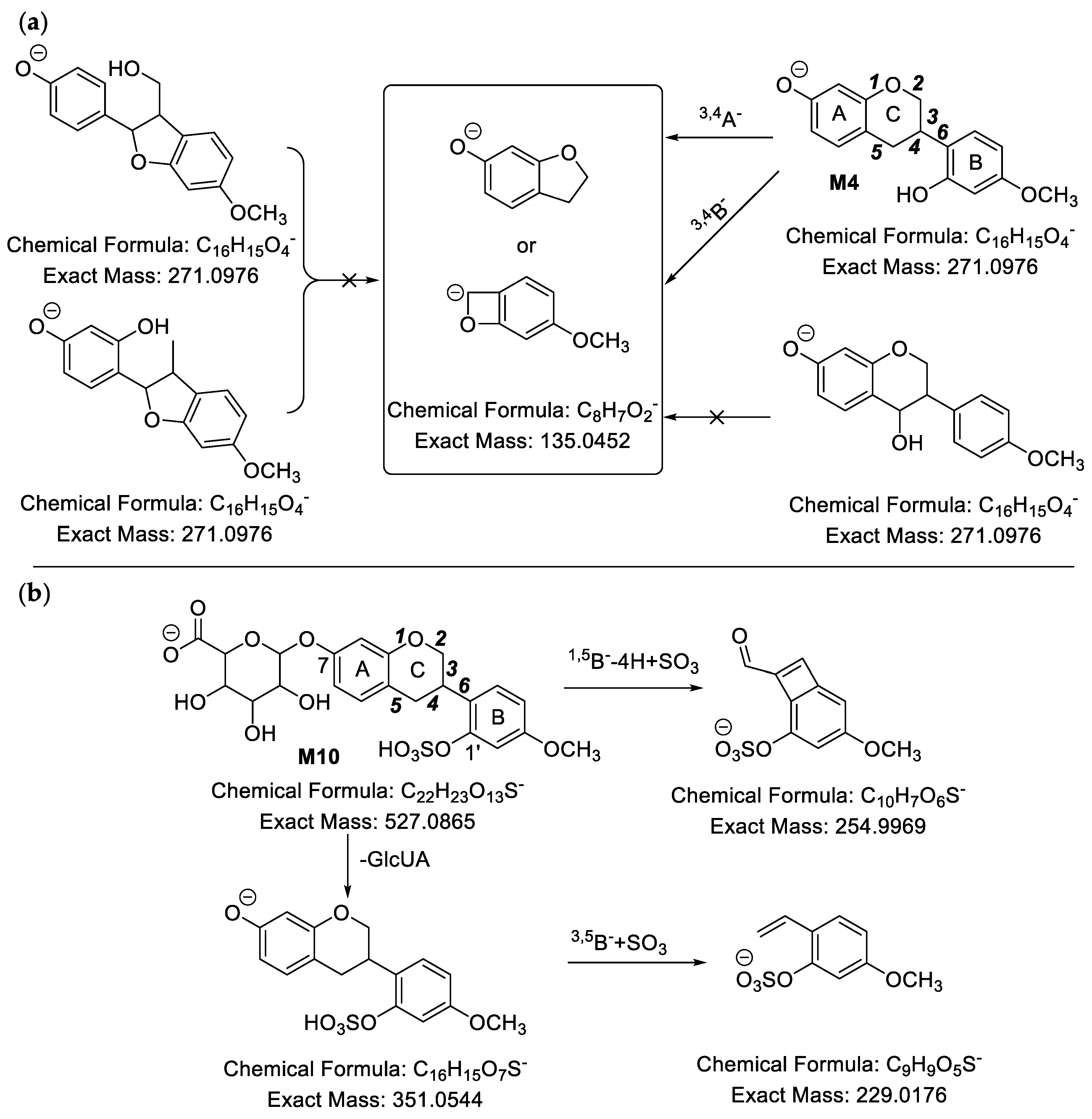 Molecules 24 01966 g006