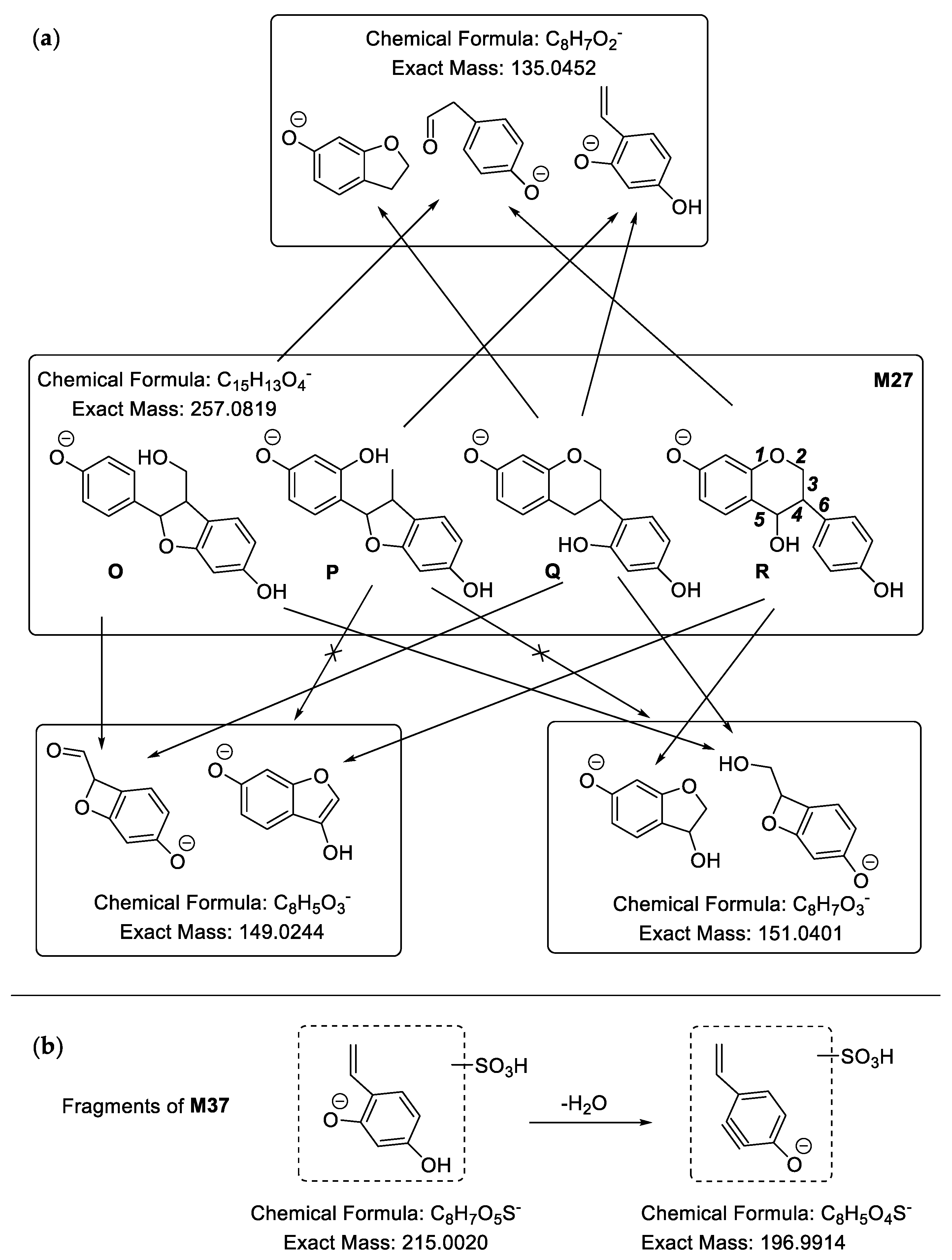 Molecules 24 01966 g007