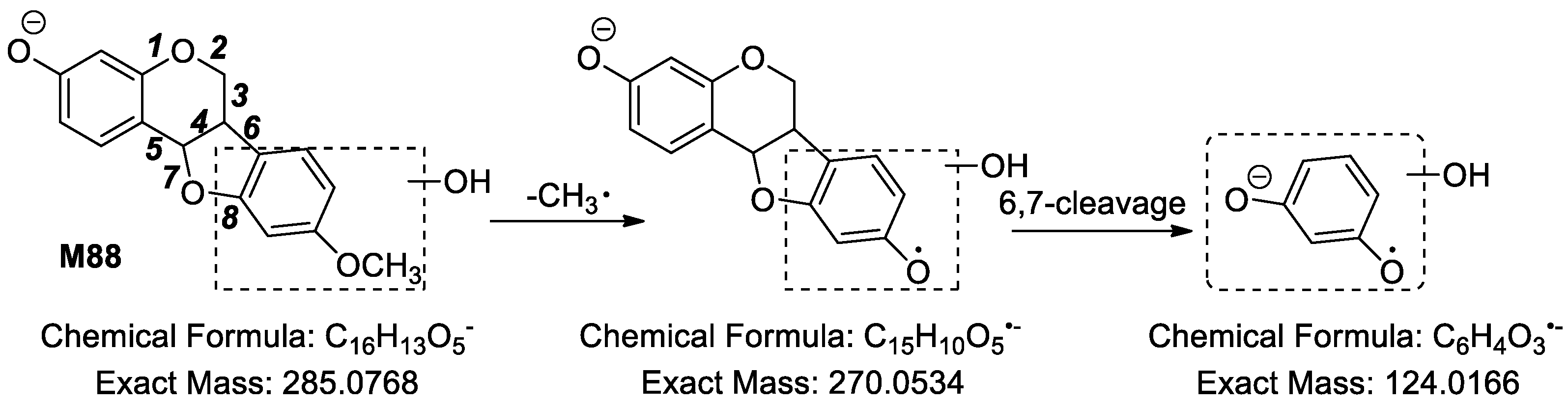 Molecules 24 01966 g008