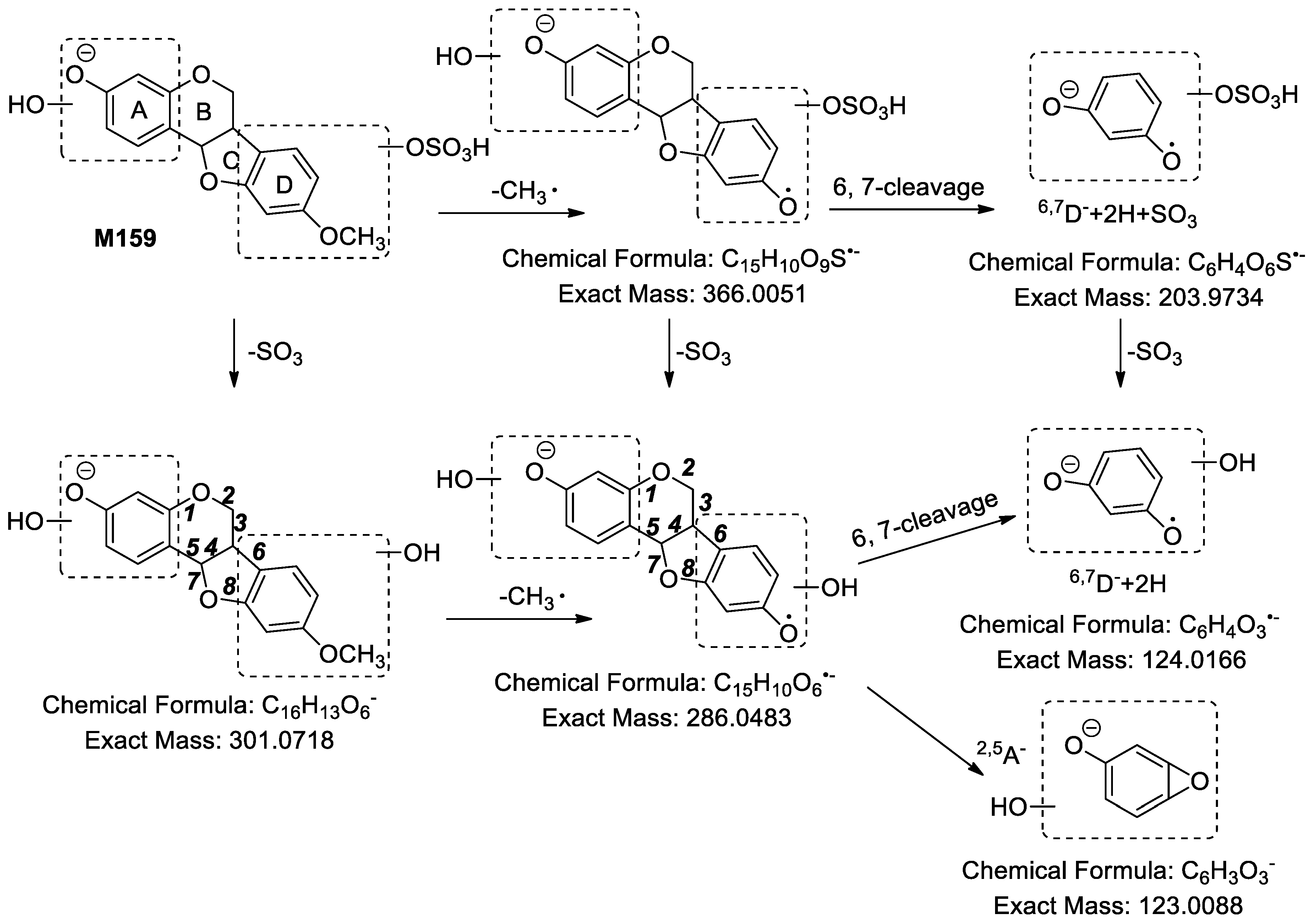 Molecules 24 01966 g013