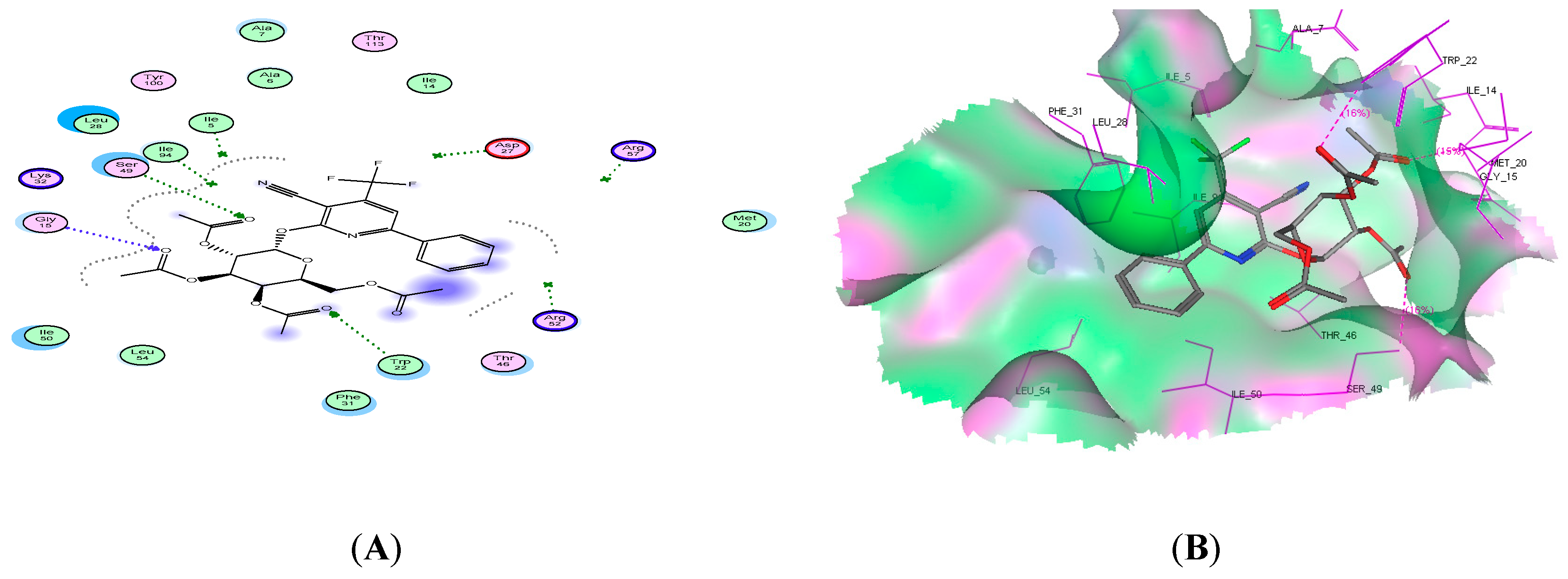 Molecules 24 01969 g004