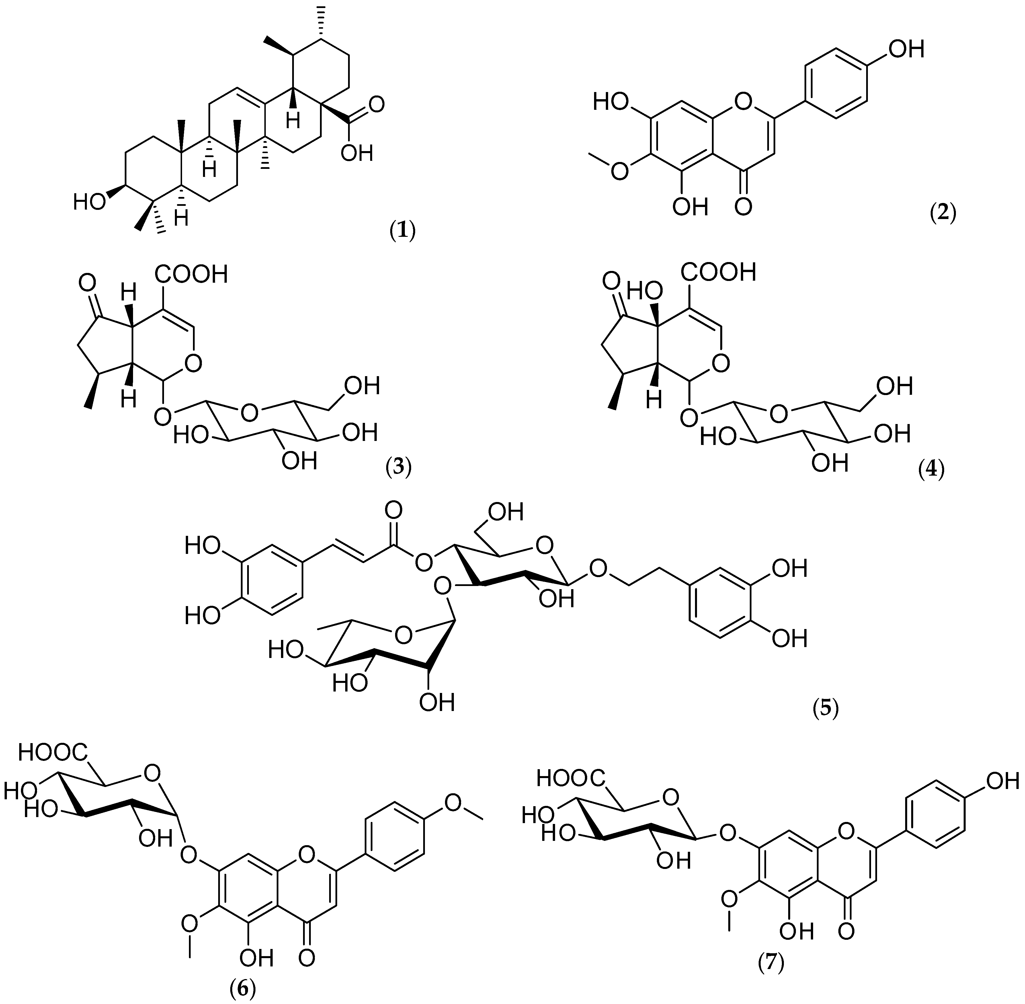 Molecules 24 01970 g001