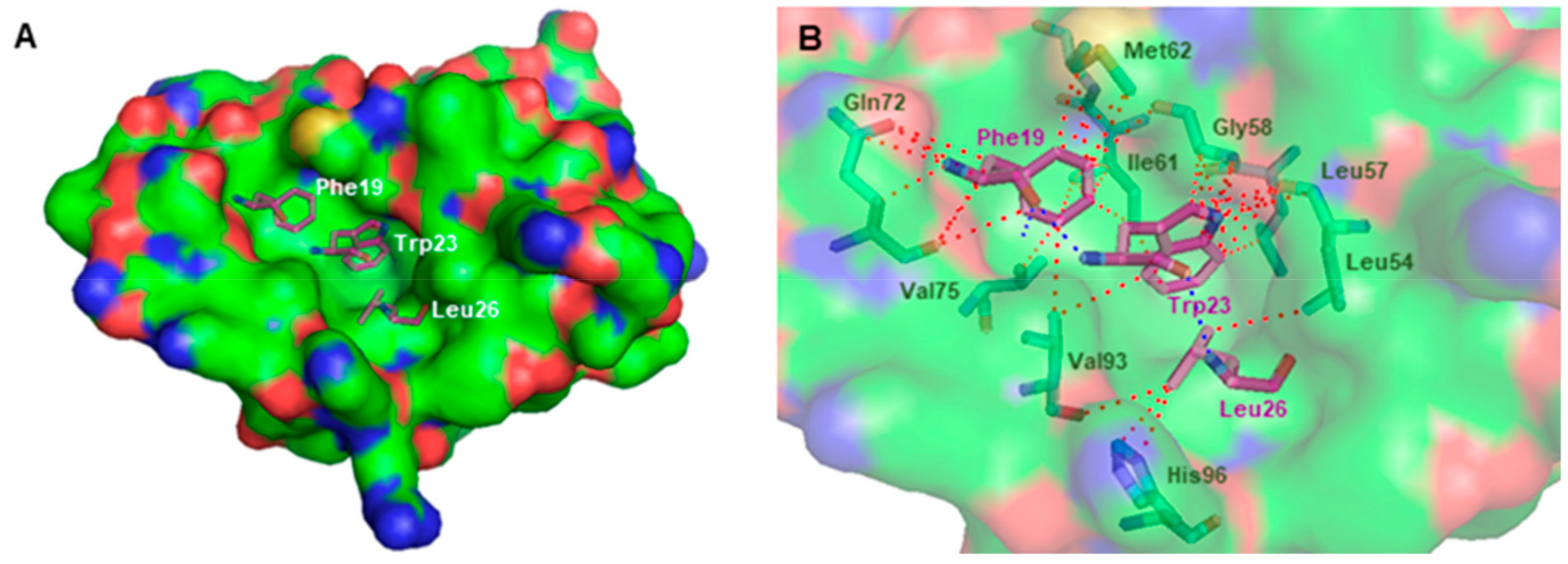 Molecules 24 01975 g005
