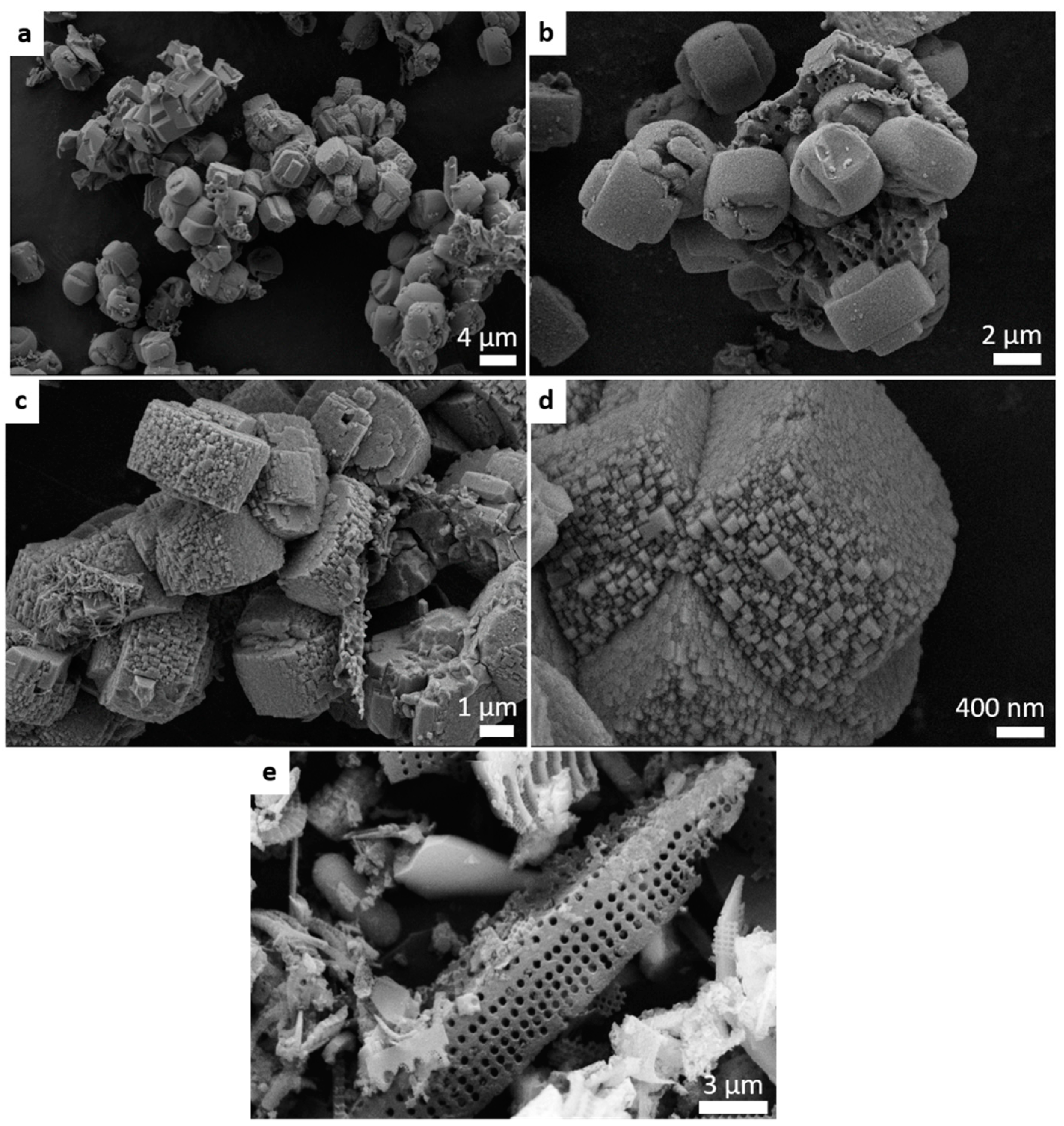 Molecules 24 01980 g003