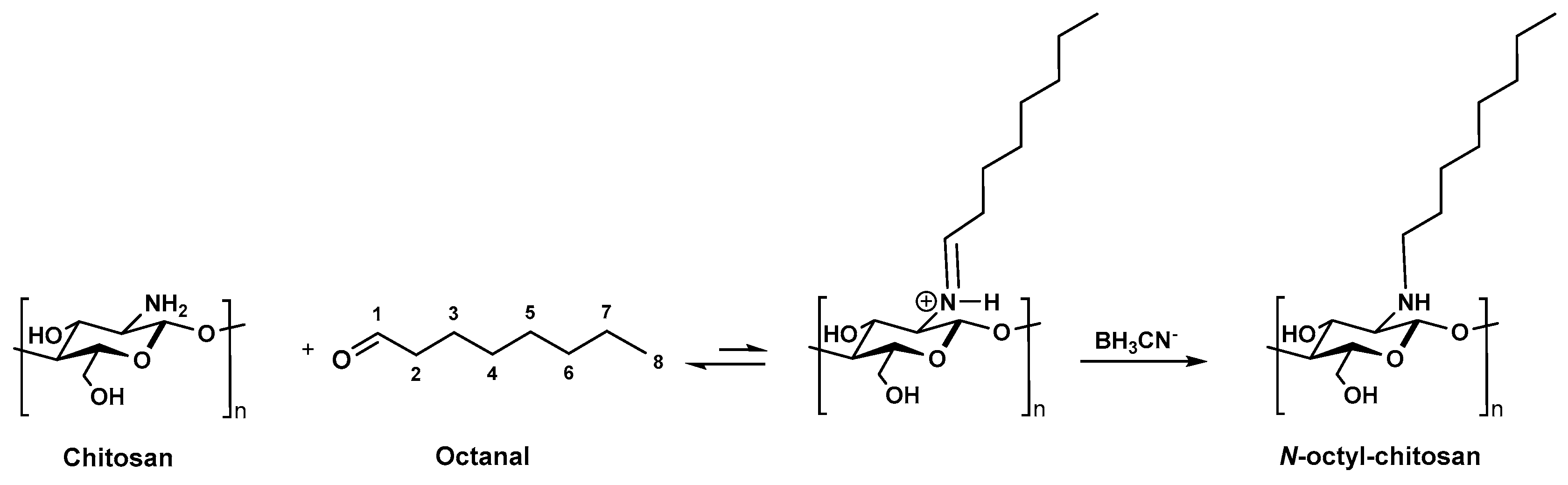 Molecules 24 01987 g003
