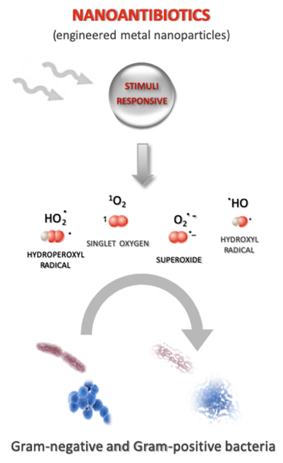 Molecules 24 01991 g002 Molecules 24 01991 g002