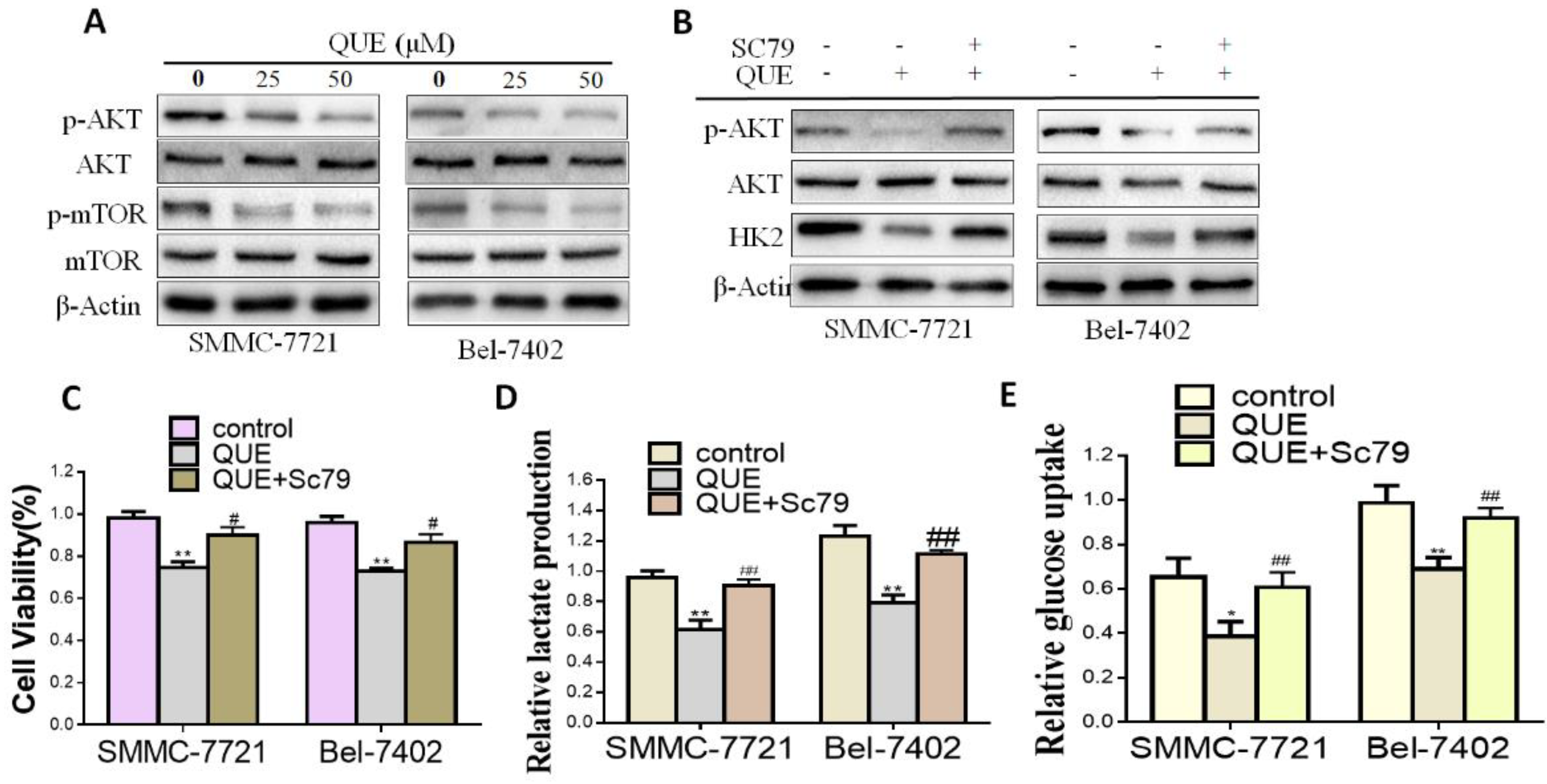 Molecules 24 01993 g003