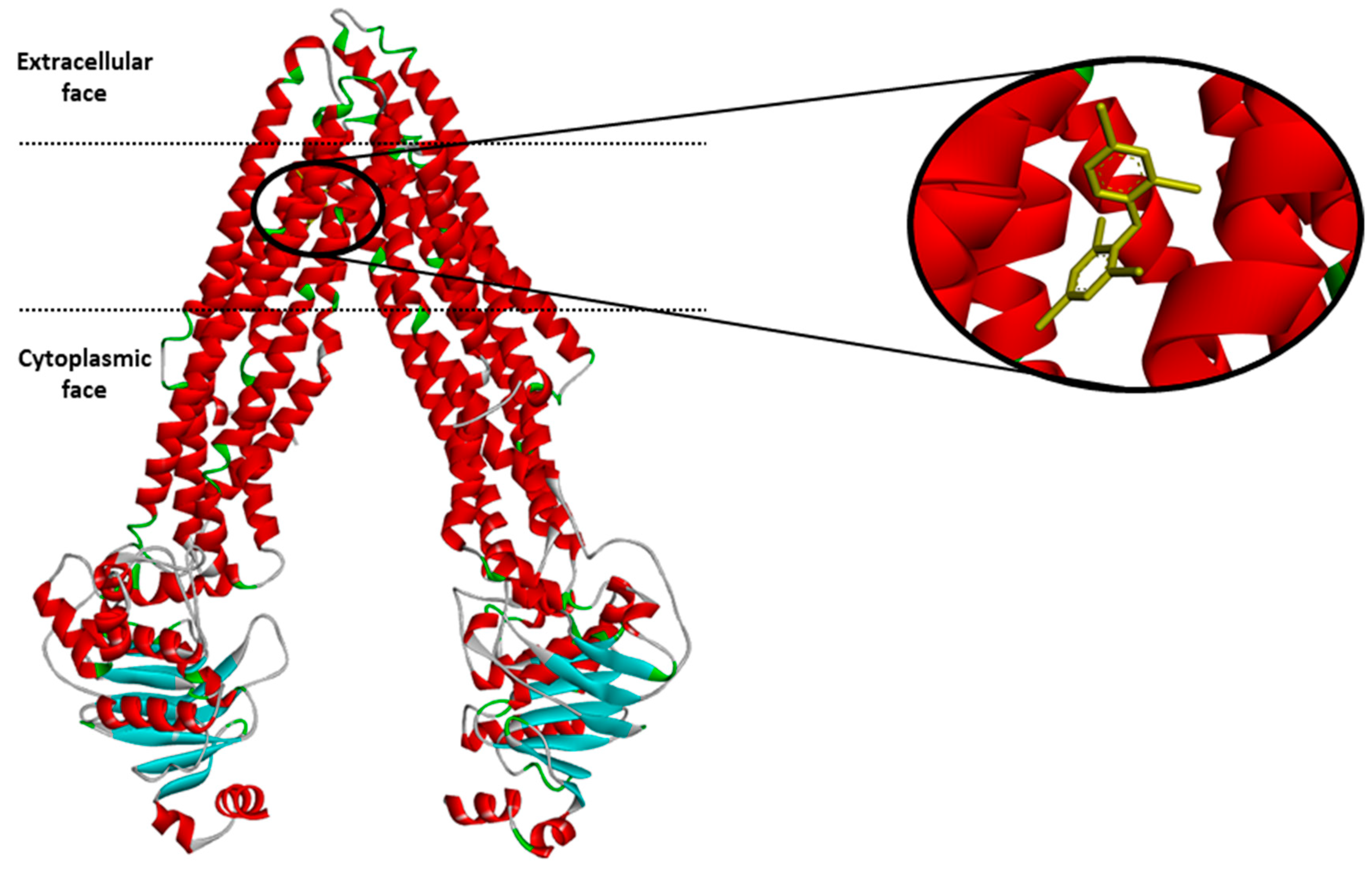 Combining Machine Learning and Molecular Dynamics to Predict P-Glycoprotein  Substrates