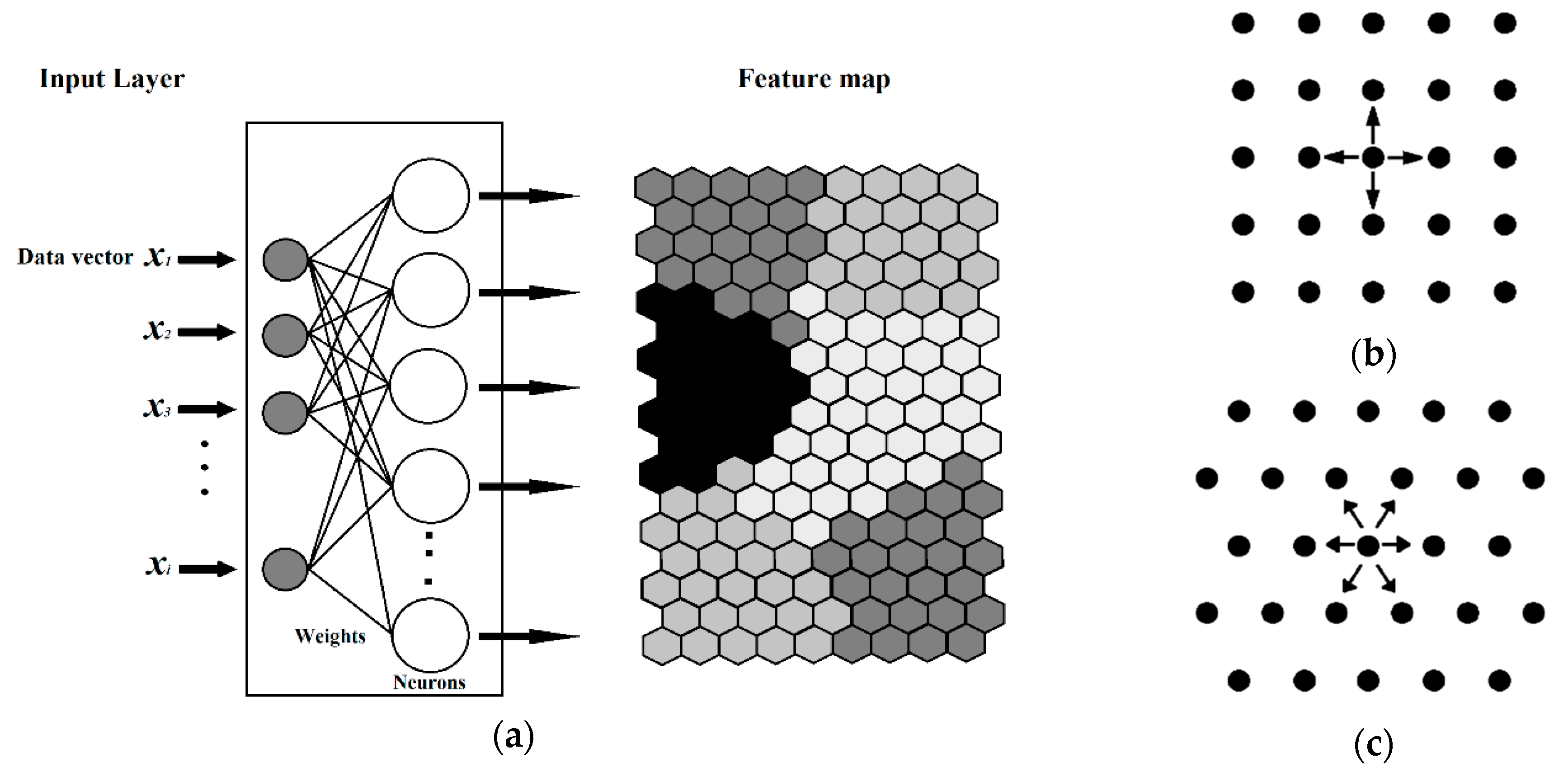 Molecules 24 02006 g012 550