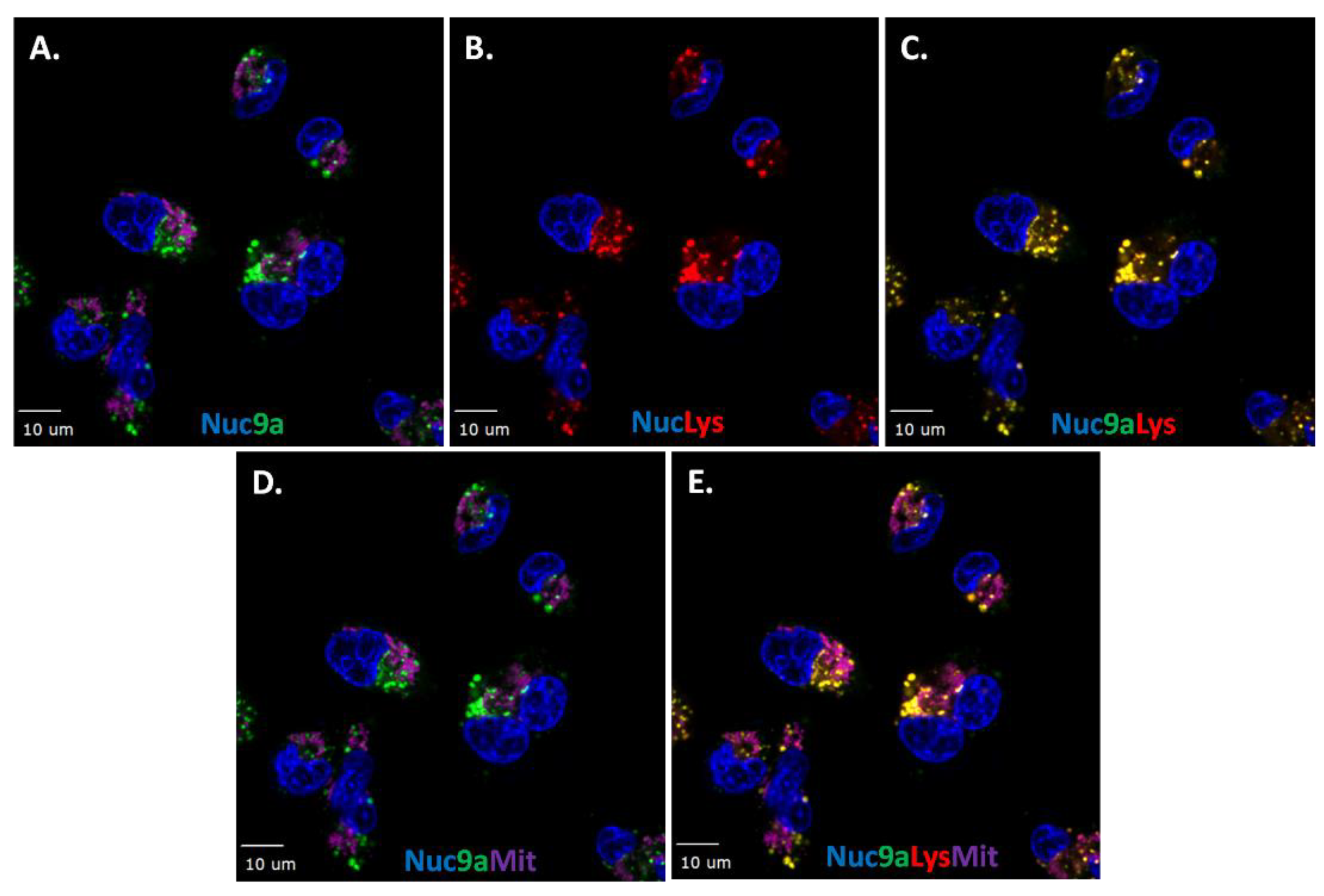 Molecules 24 02012 g007 Molecules 24 02012 g007